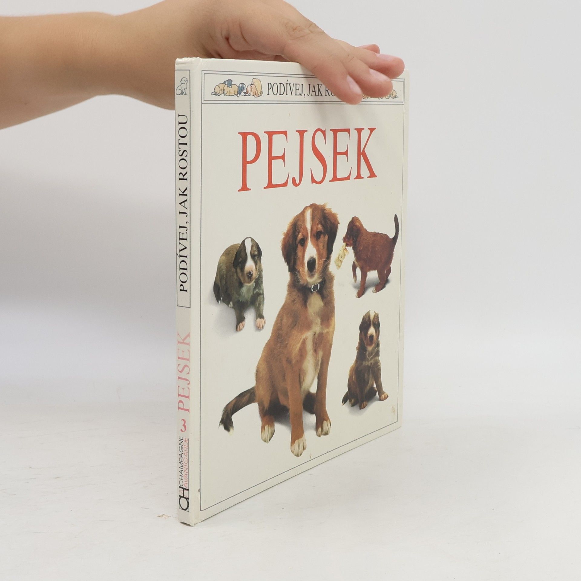 Pejsek
