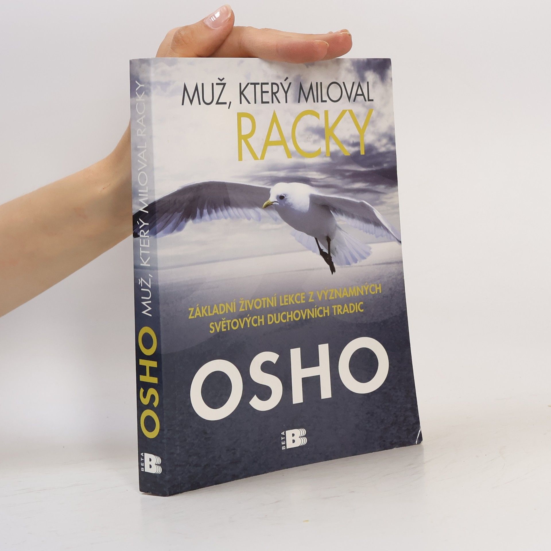 Ošó Muž, který miloval racky