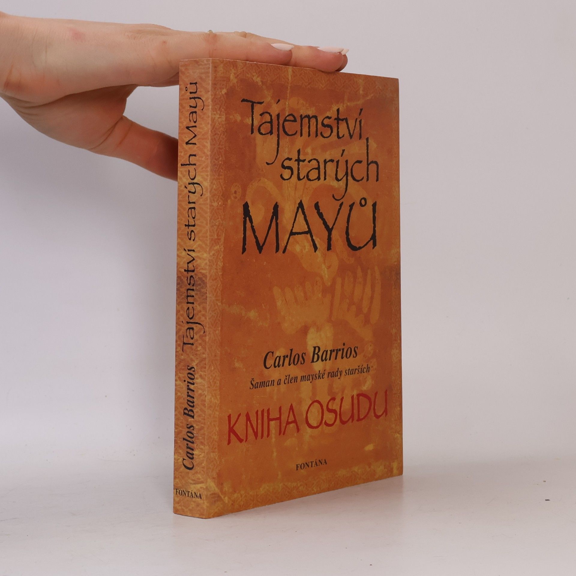 Carlos Barrios Tajemství starých Mayů