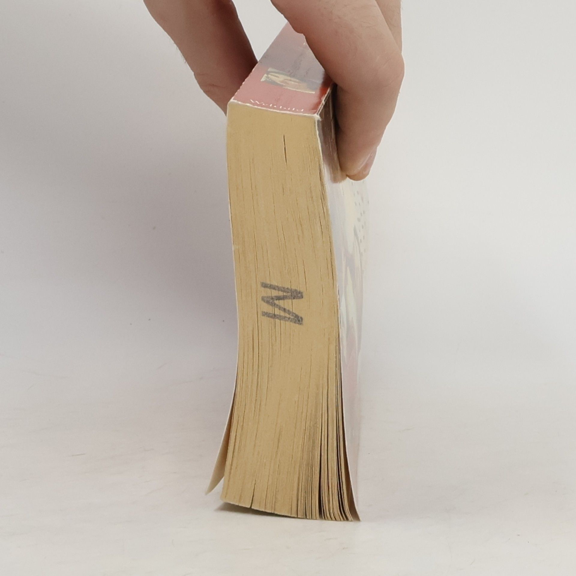 Various authors Die venezianische Tochter