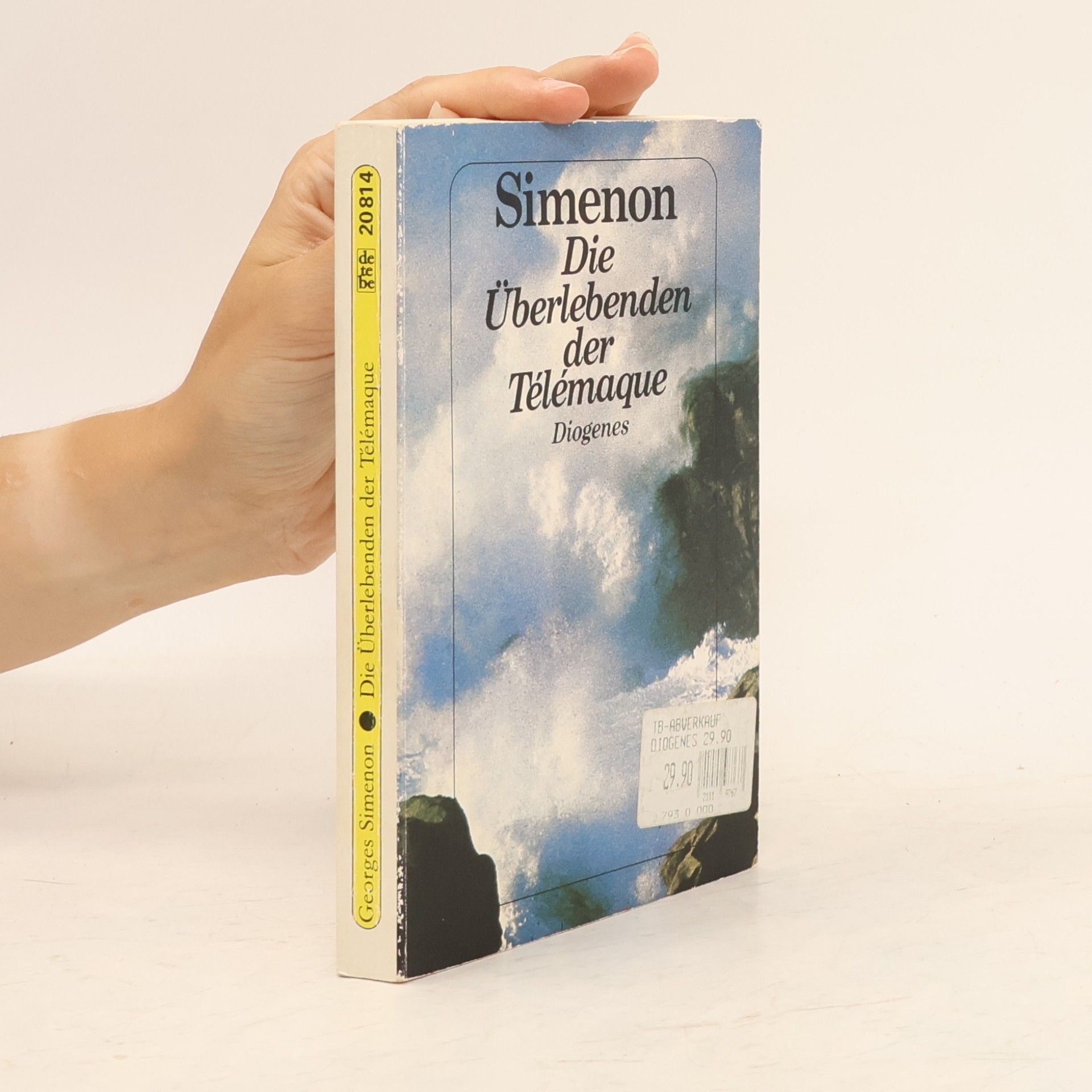 Georges Simenon Die Überlebenden der Télémaque