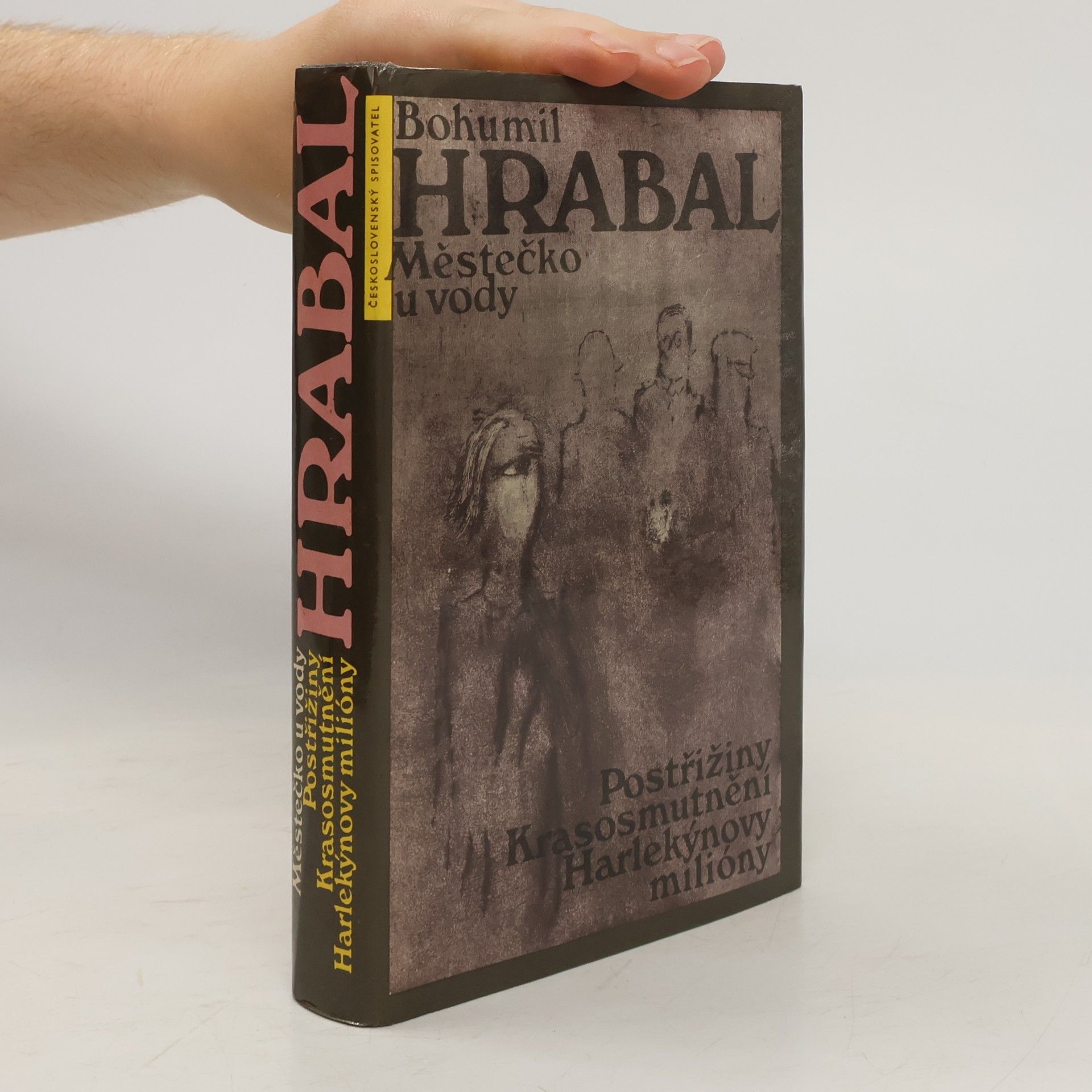 Bohumil Hrabal Městečko u vody