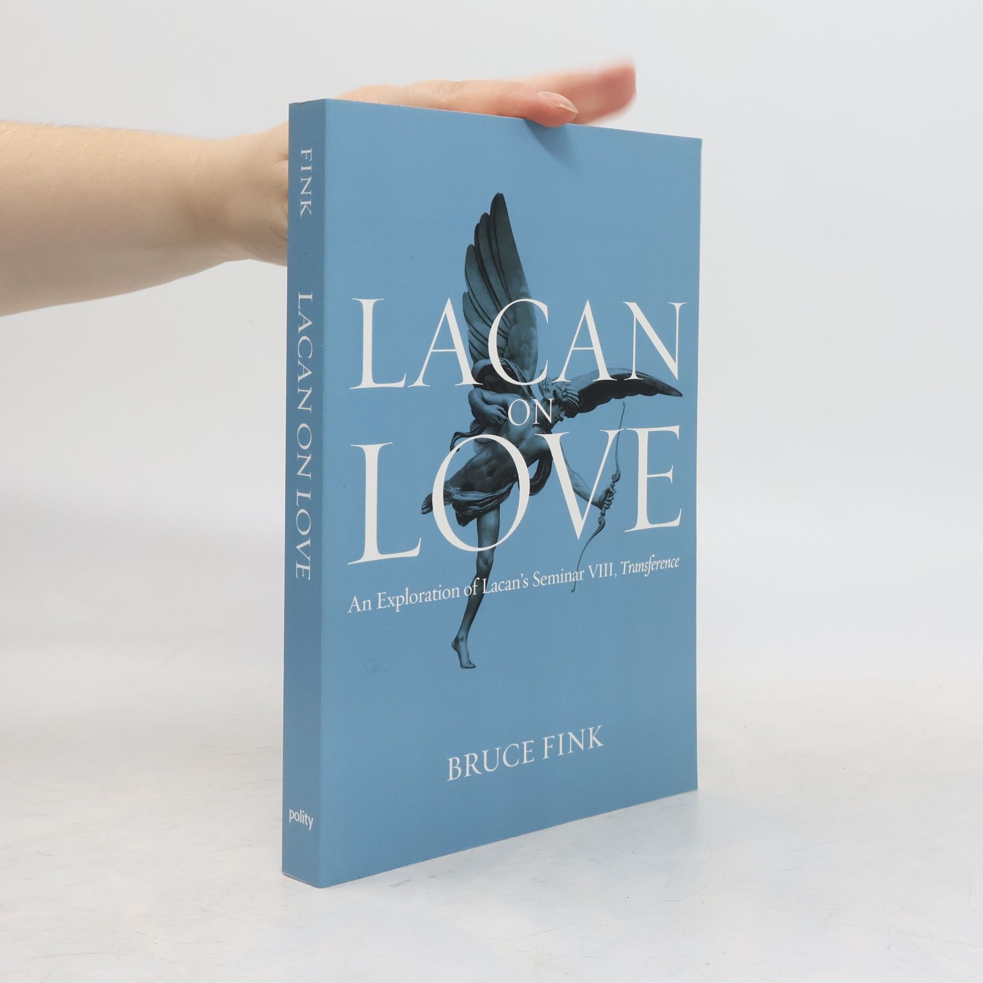 Bruce Fink Lacan on Love