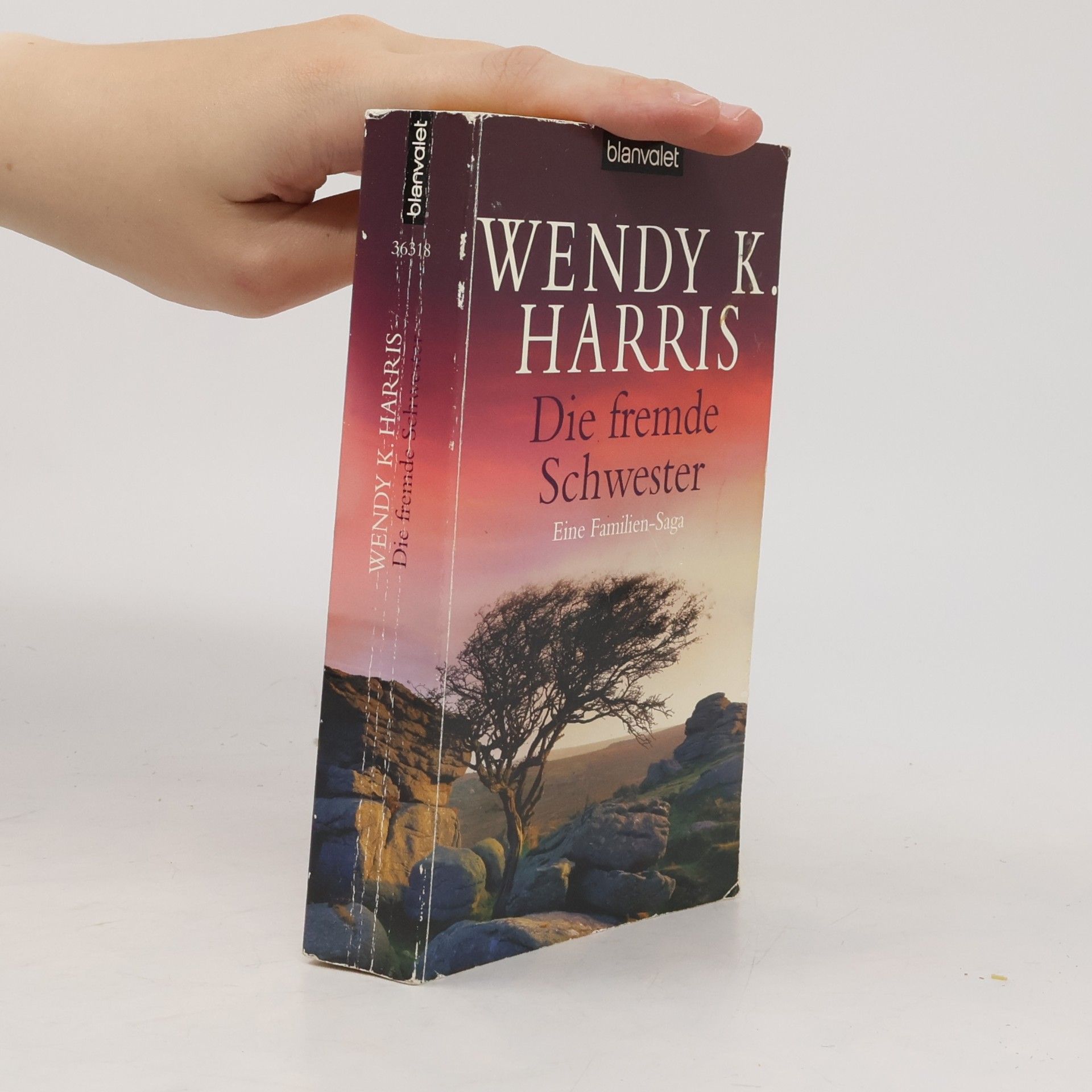 Wendy K. Harris Die fremde Schwester