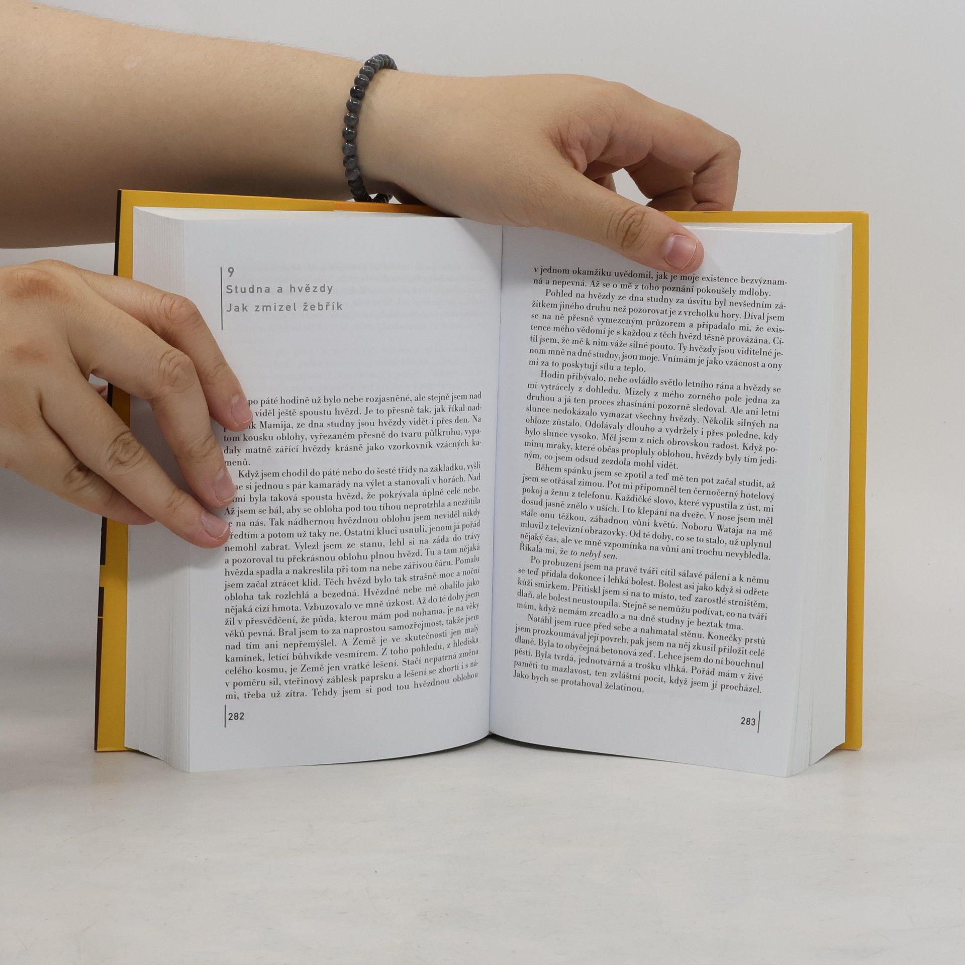 Haruki Murakami Kronika ptáčka na klíček