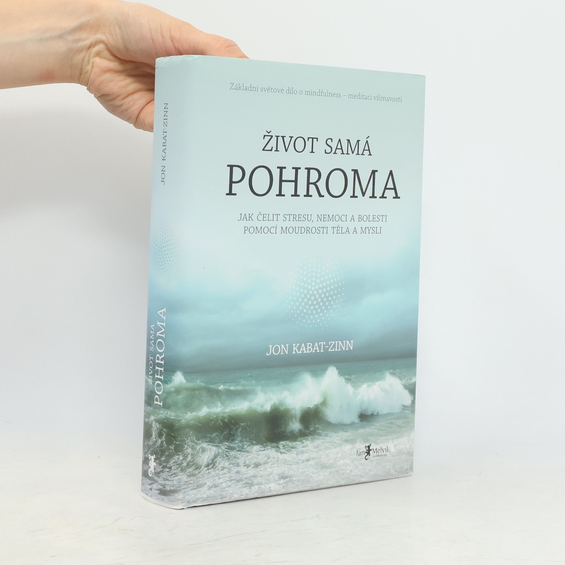 Jon Kabat-Zinn Život samá pohroma