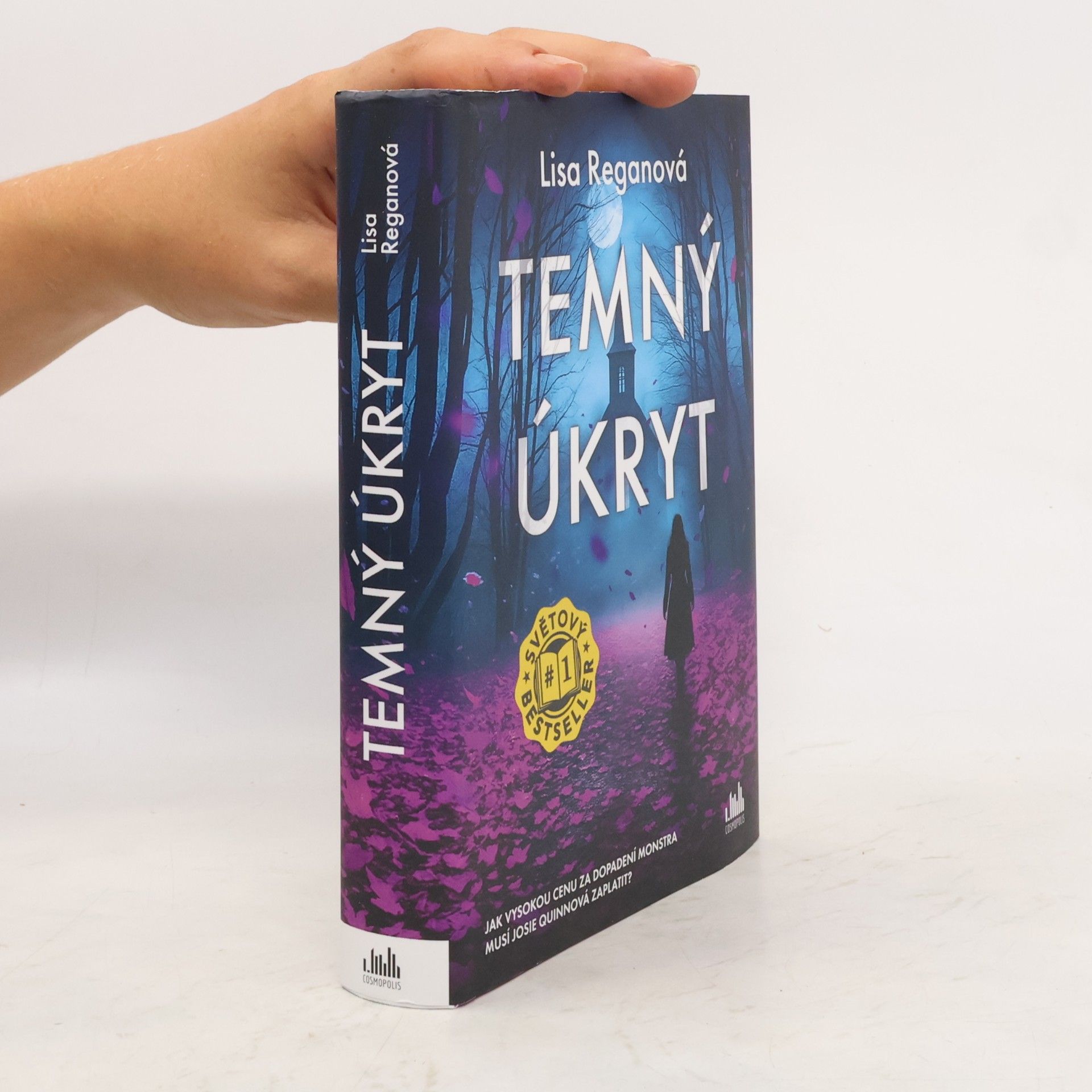Lisa Regan Temný úkryt