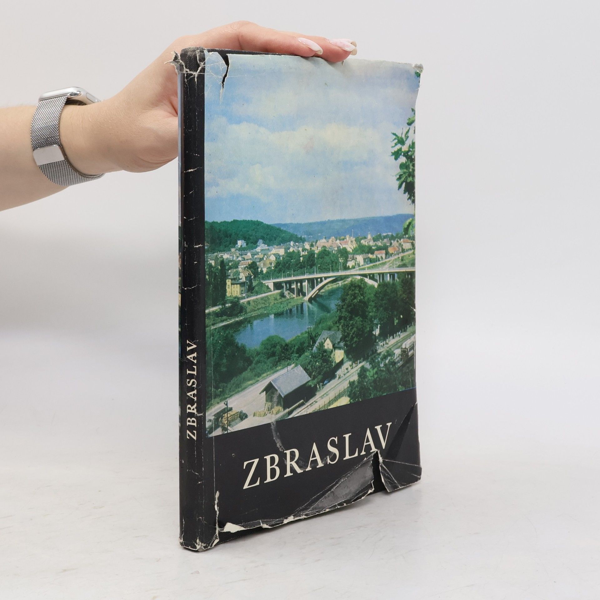 AA.VV. Zbraslav