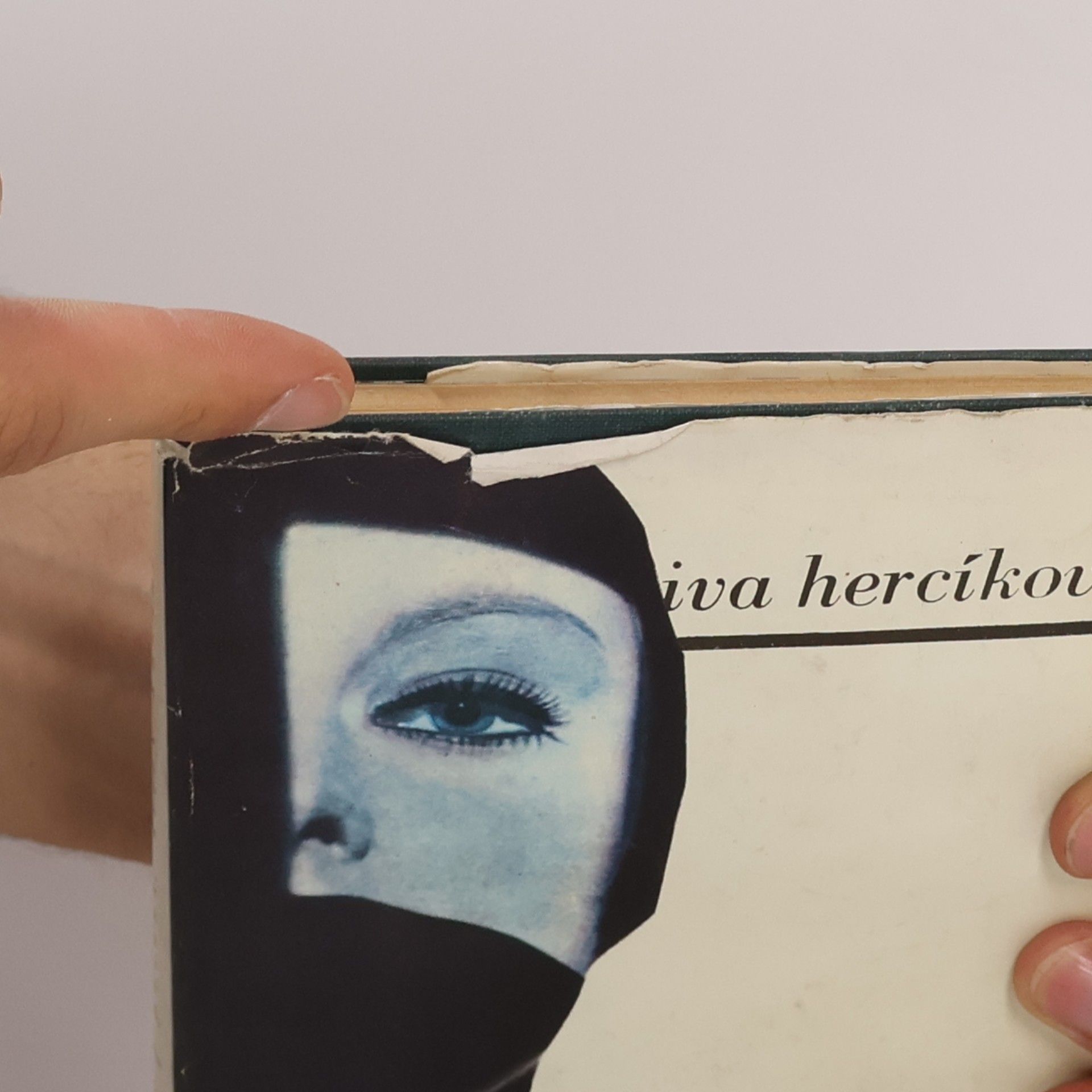 Iva Hercíková Pavouk, který kulhal