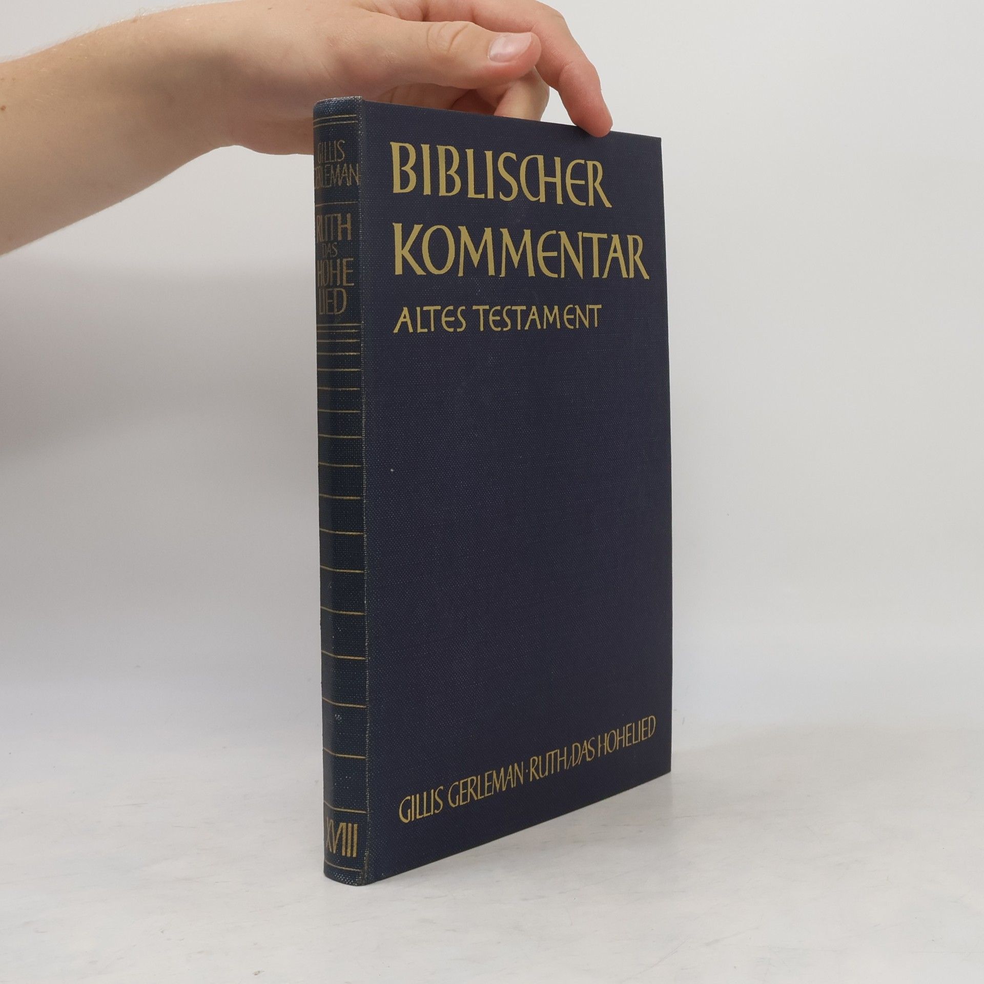 Hans Strauß Biblischer Kommentar Altes Testament - 16/2: Hiob