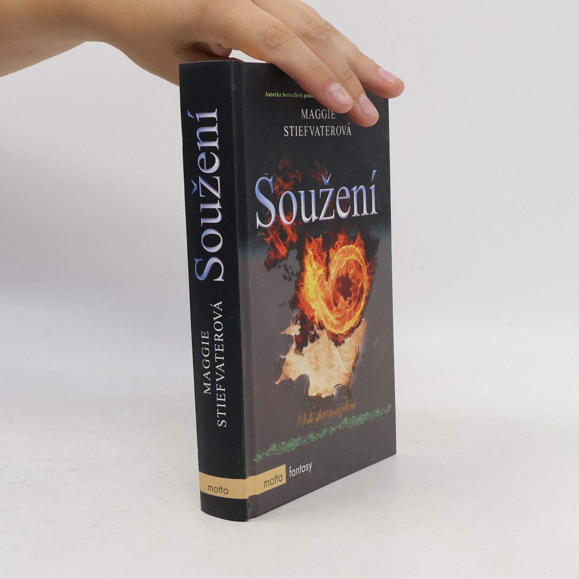Maggie Stiefvater Soužení