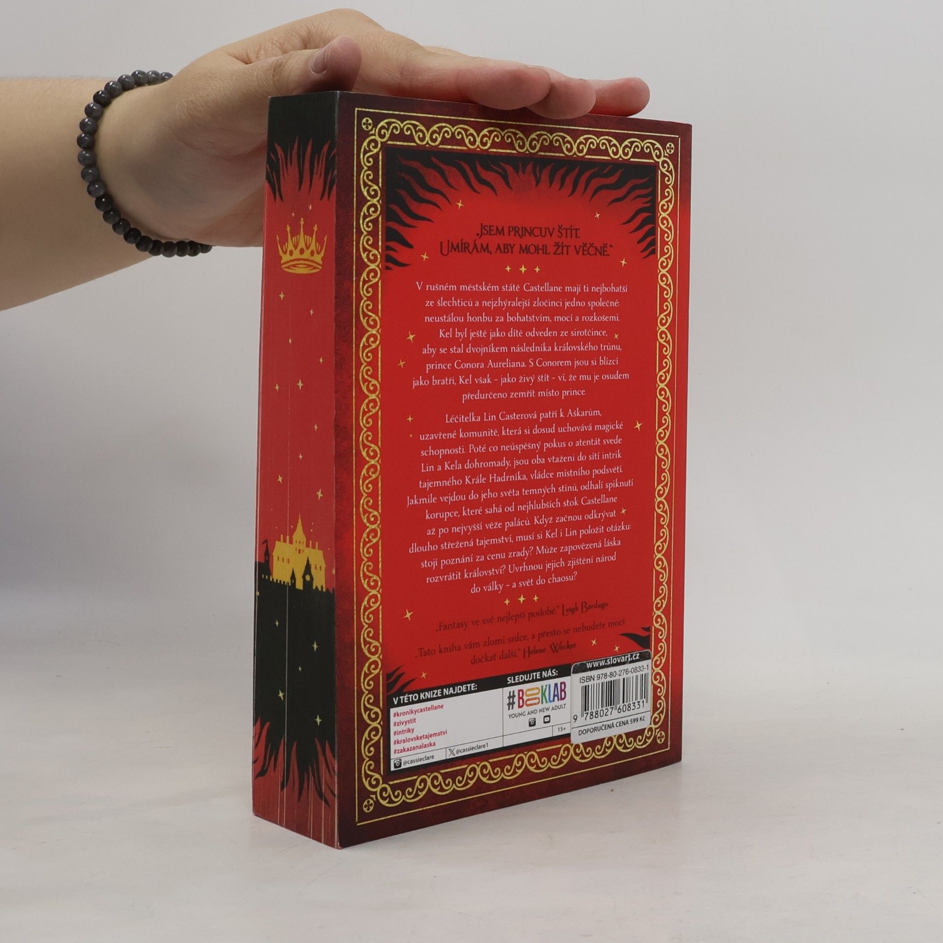 Cassandra Clare Princův štít