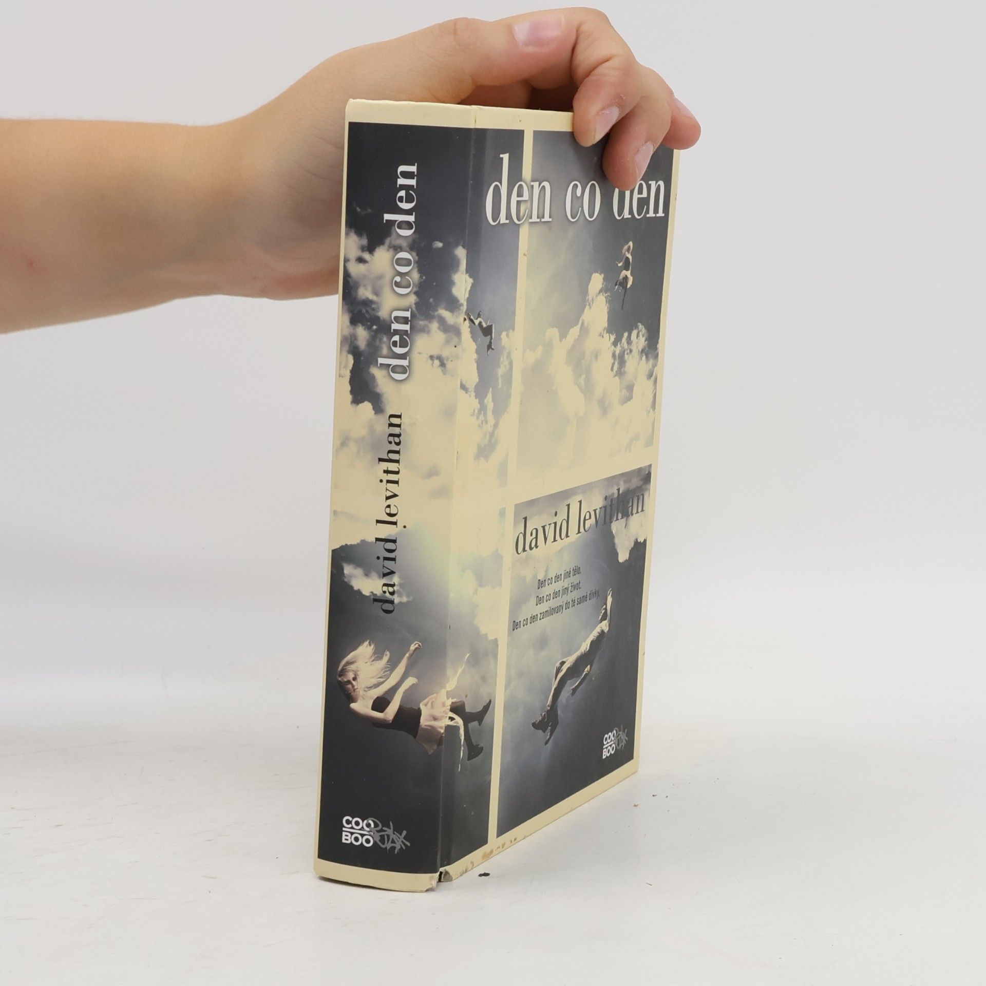 David Levithan Den co den