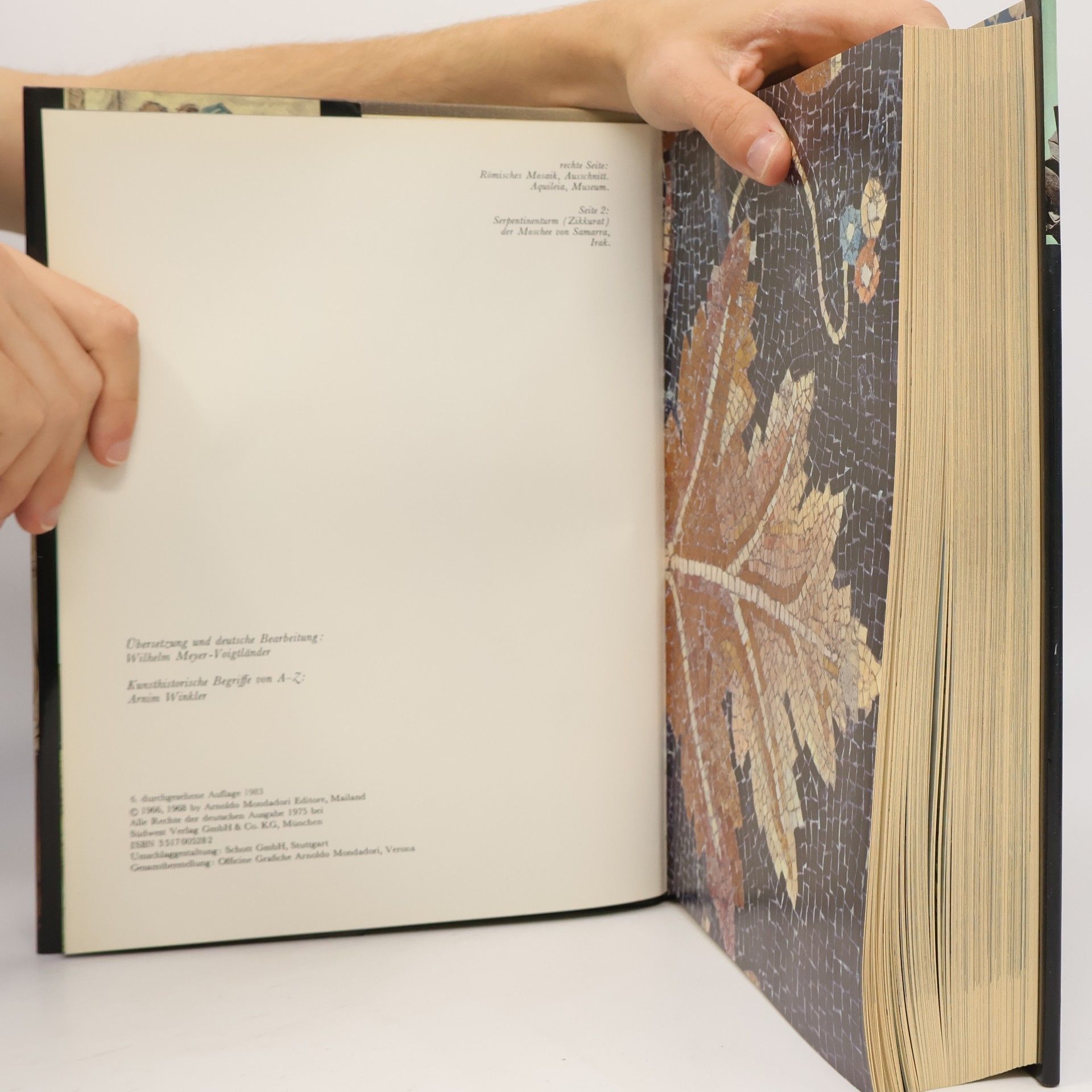 Gina Pischei Große Kunstgeschichte der Welt. Malerei, Plastik, Architektur, Kunsthandwerk