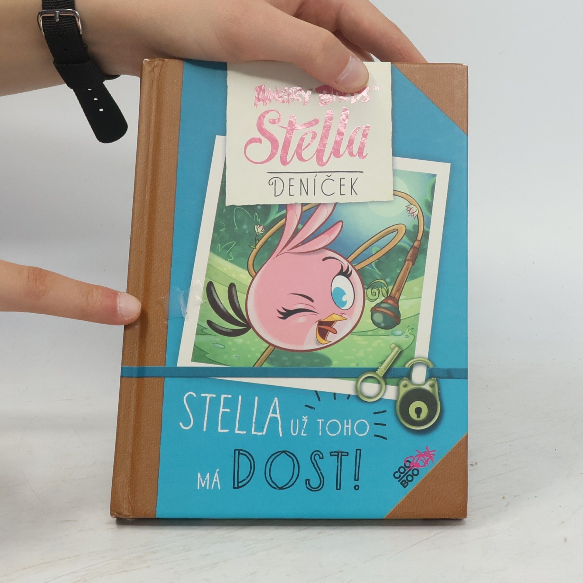 Kolektív autorov Angry Birds Stella. Stella už toho má dost!