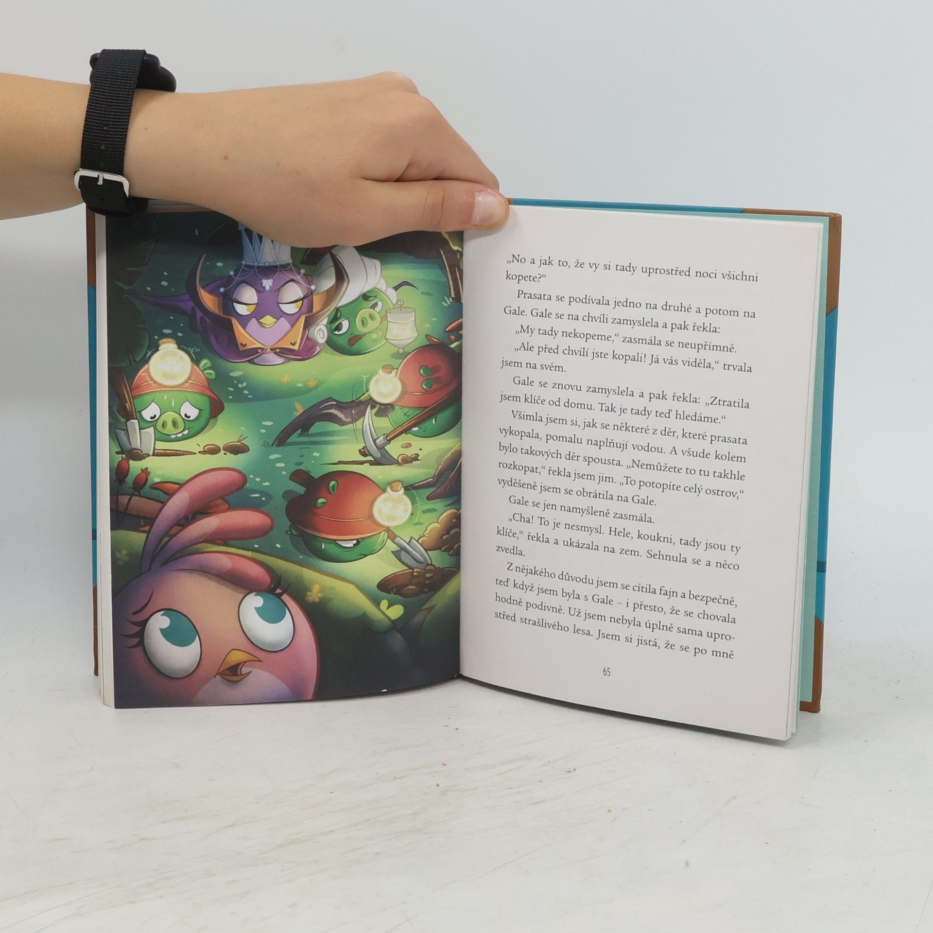Kolektív autorov Angry Birds Stella. Stella už toho má dost!