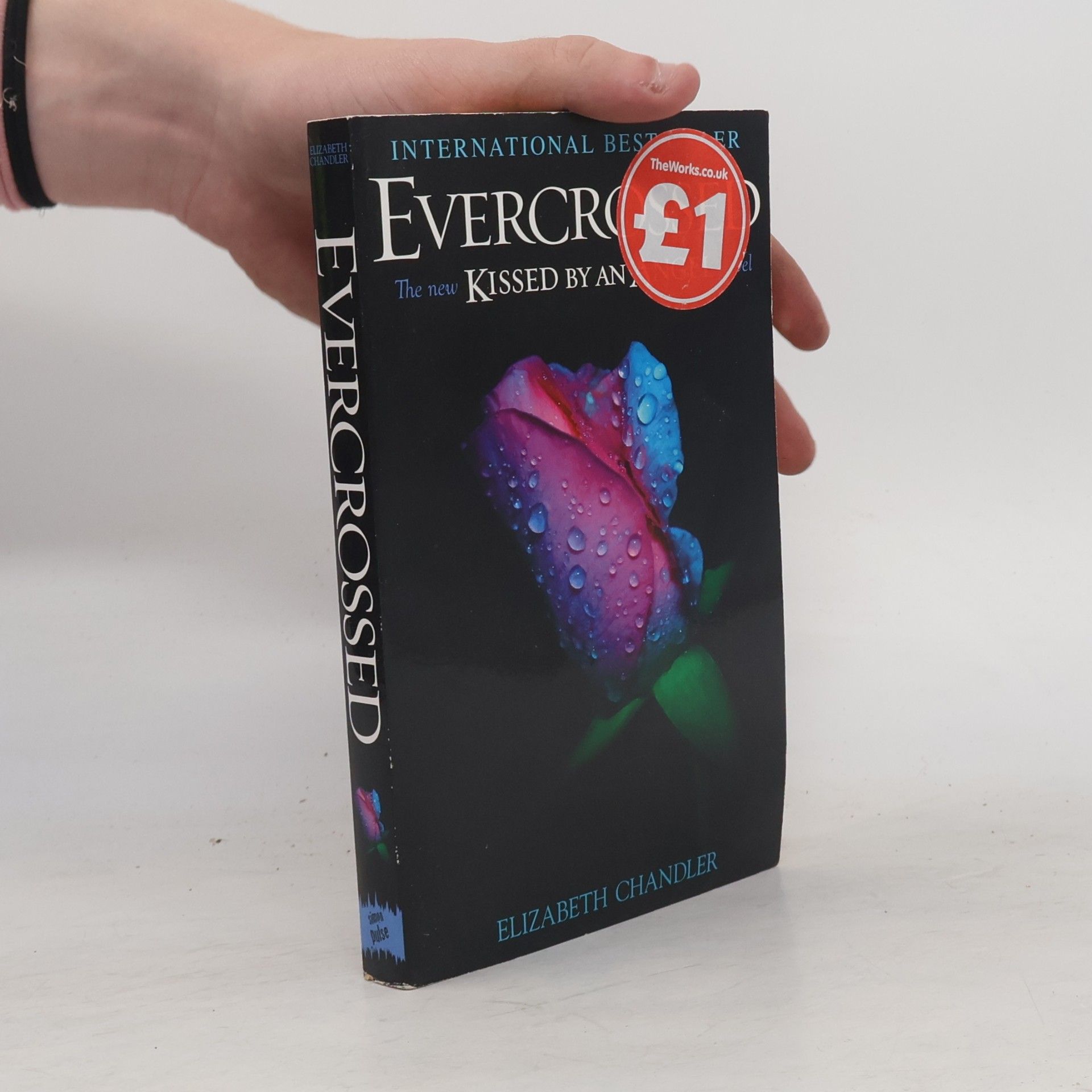 Elisabeth Chandler Evercrossed