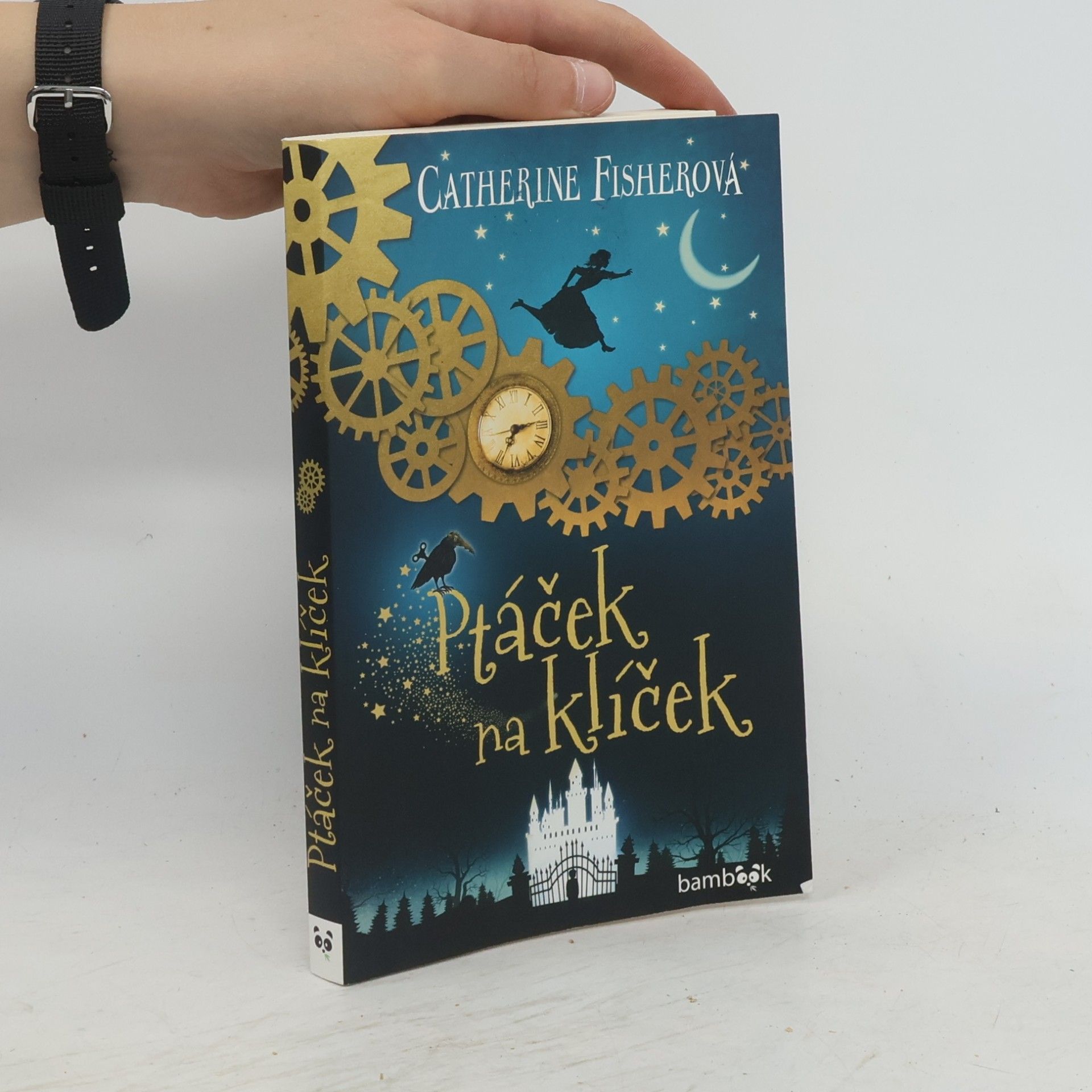 Catherine Fisher Ptáček na klíček
