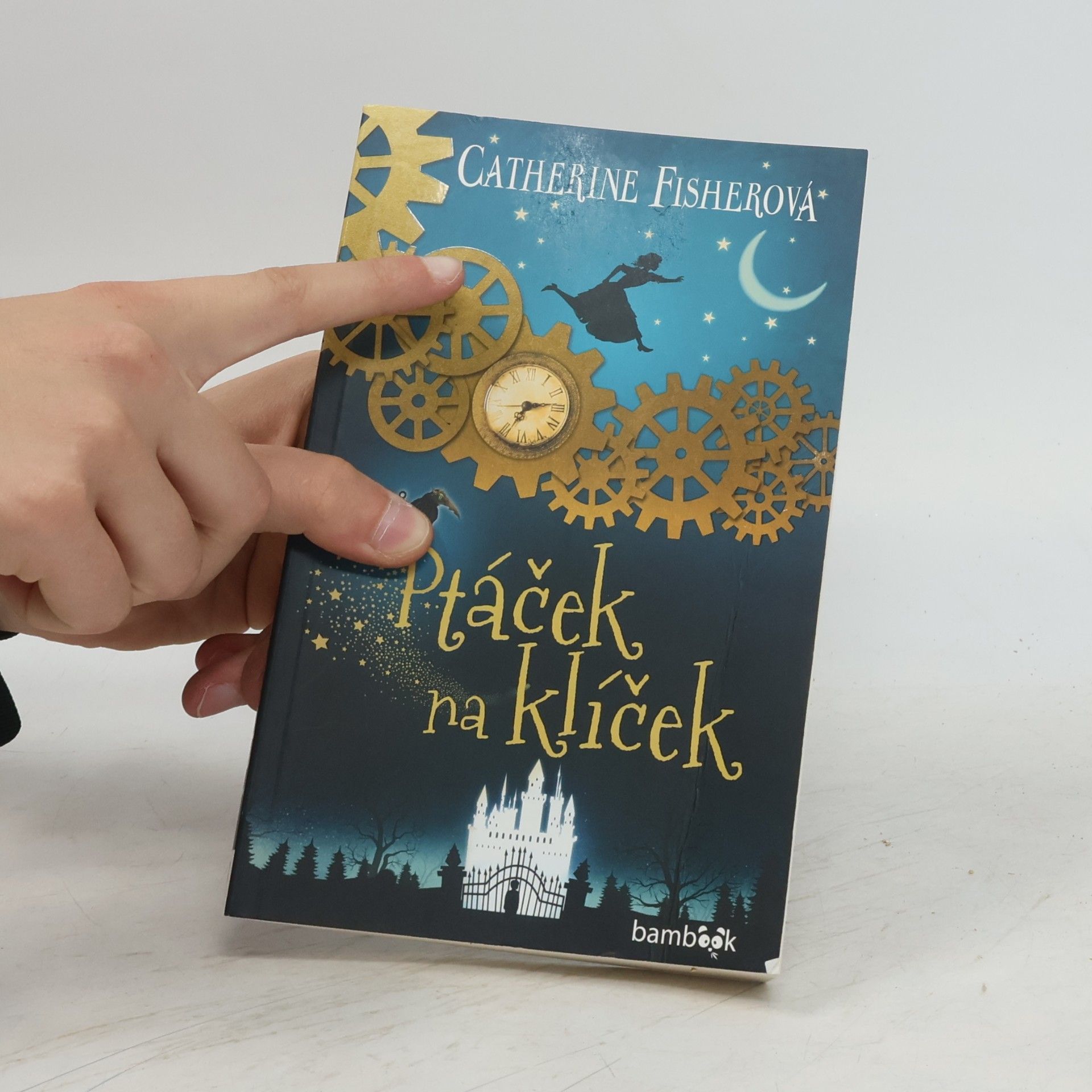Catherine Fisher Ptáček na klíček