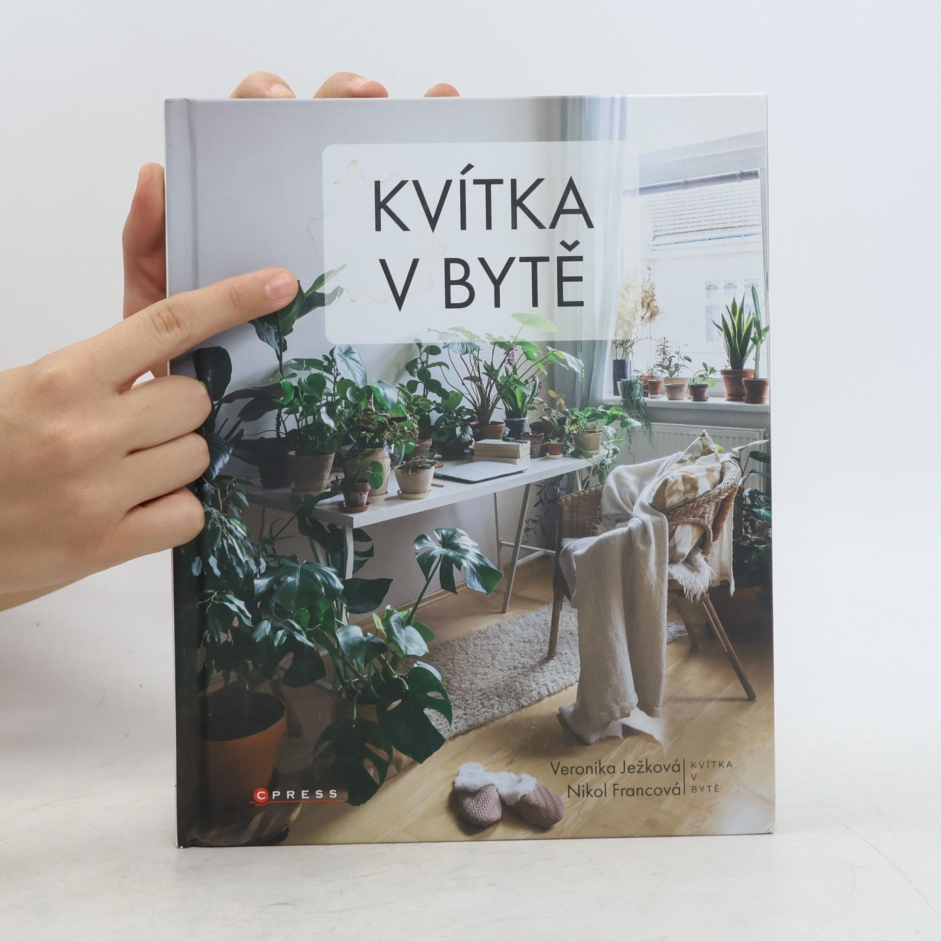 Veronika Ježková Kvítka v bytě