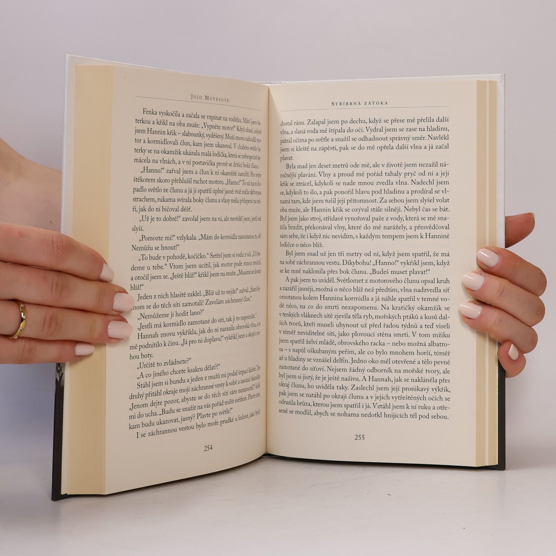 Jojo Moyes Stříbrná zátoka