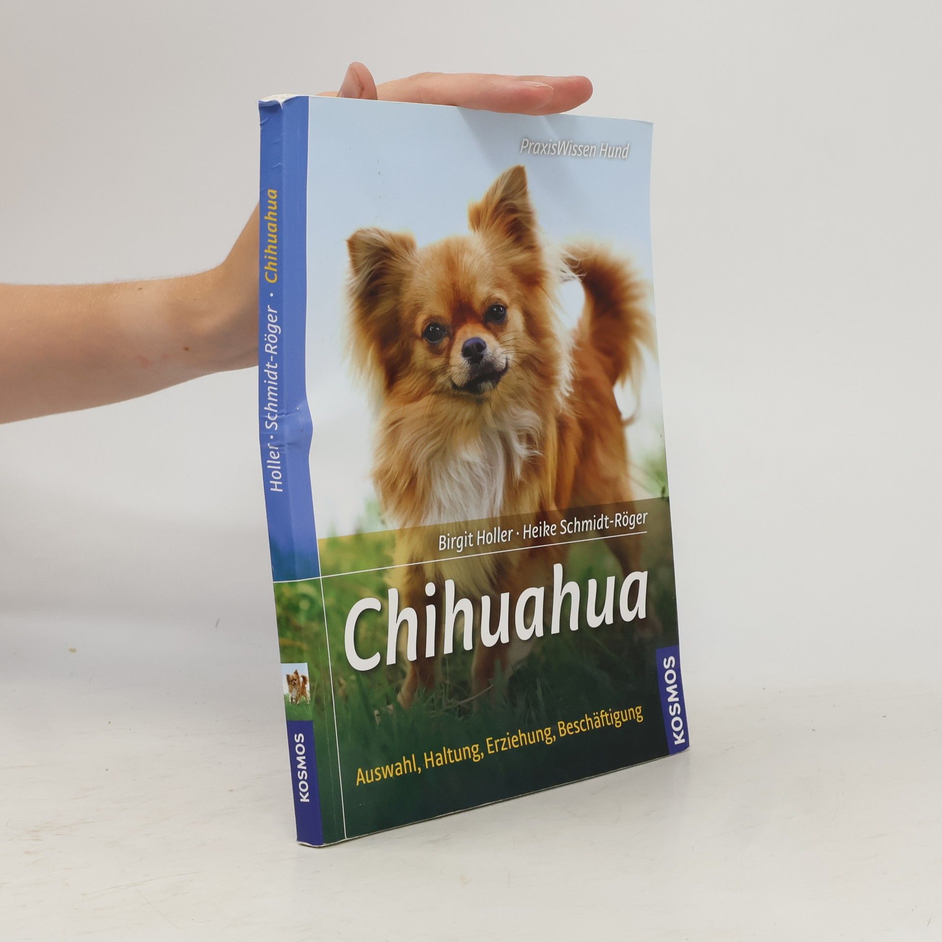 Birgit Holler Chihuahua