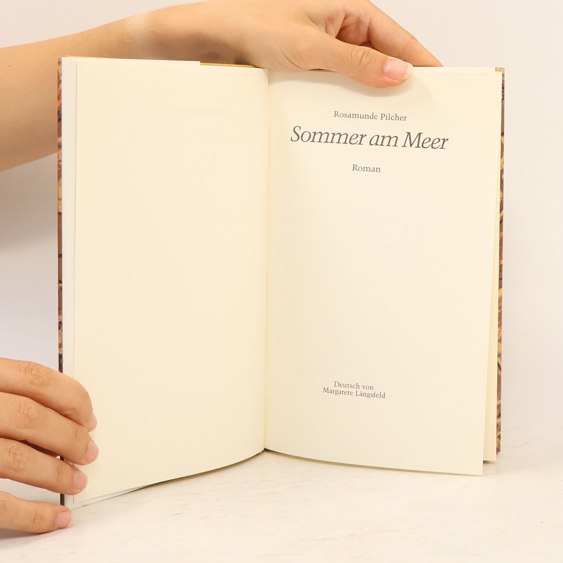 Rosamunde Pilcher Sommer am Meer