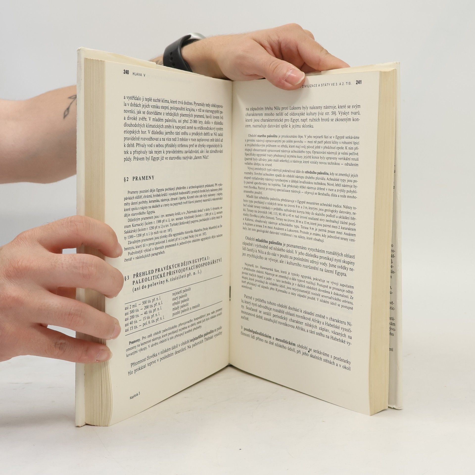 Autorenkollektiv Dějiny pravěku a starověku I.