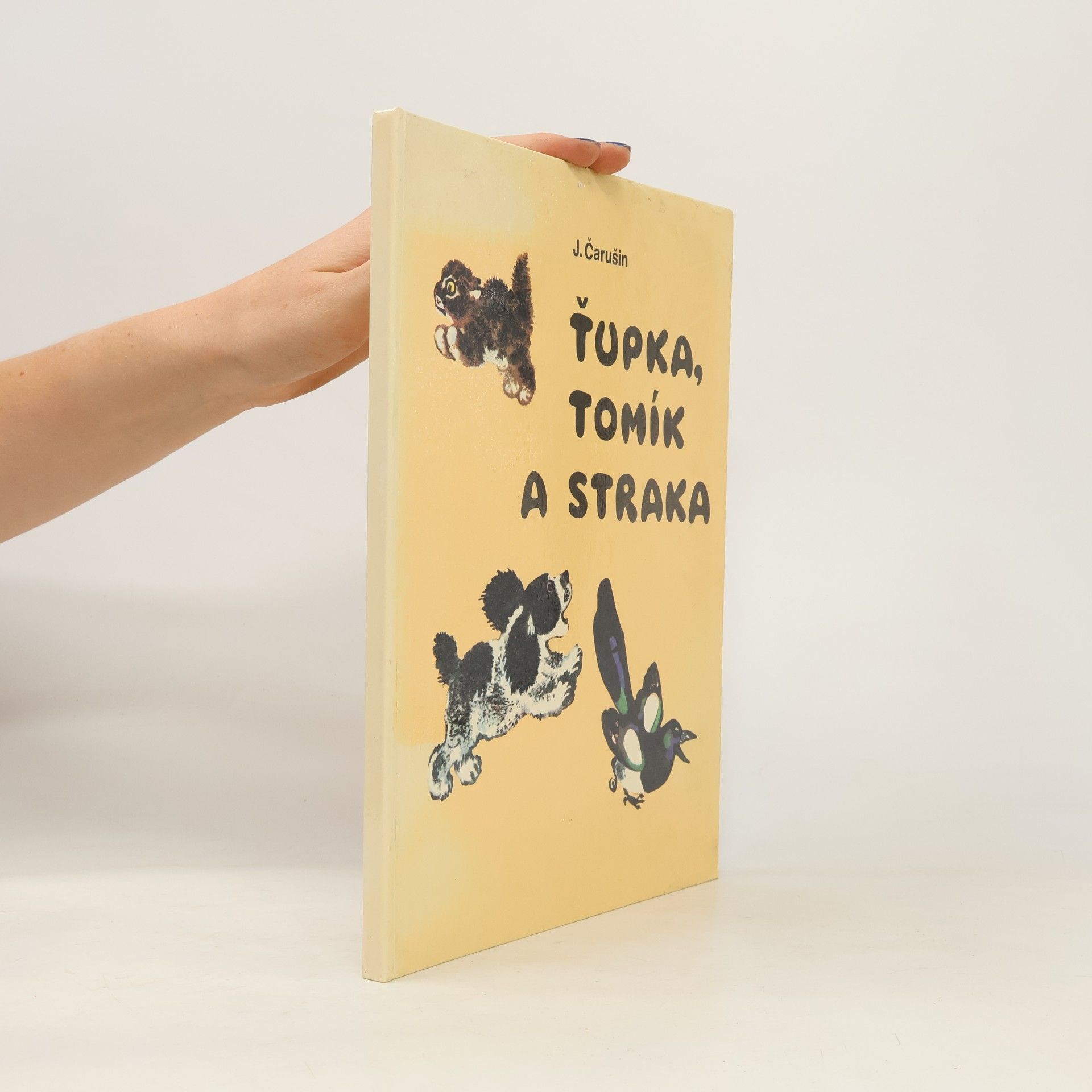 Ťupka, Tomík a straka
