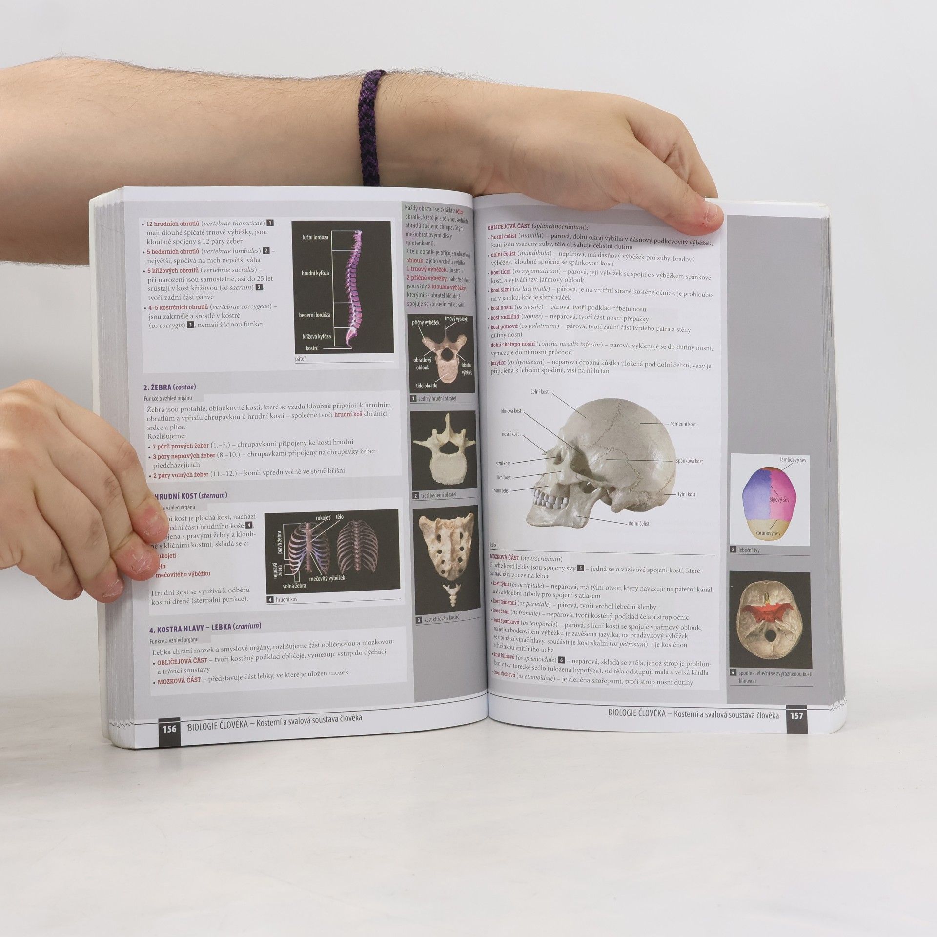 Various authors Odmaturuj! z biologie