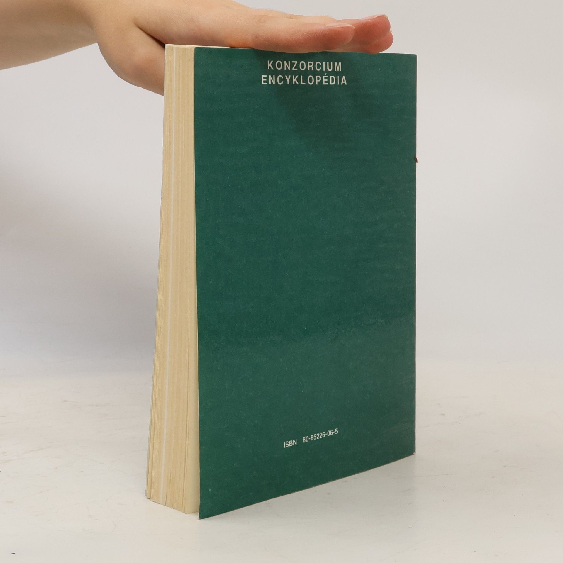 Autorenkollektiv Kto je kto na Slovensku 1991?