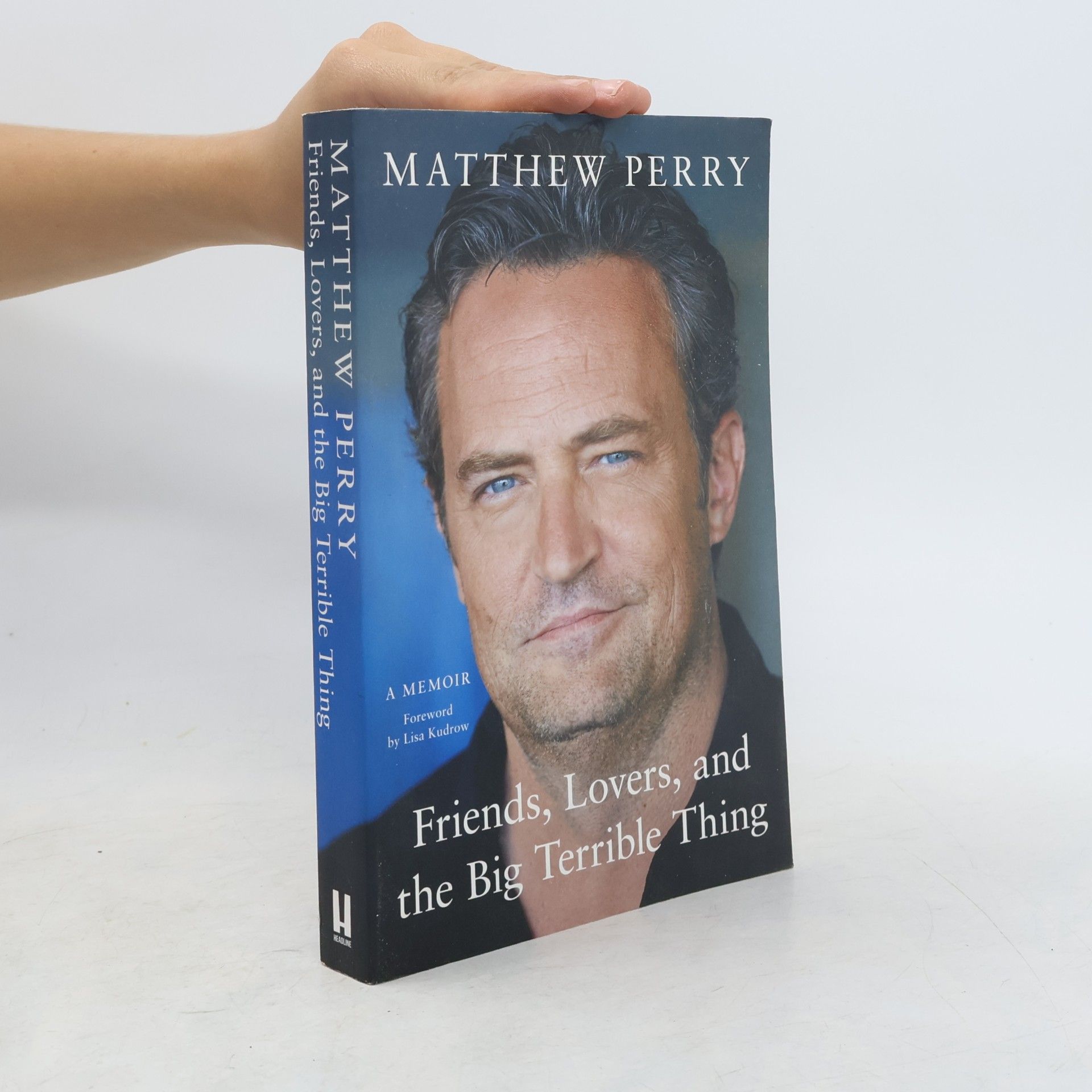 Matthew Perry Friends, lovers, and the big terrible thing