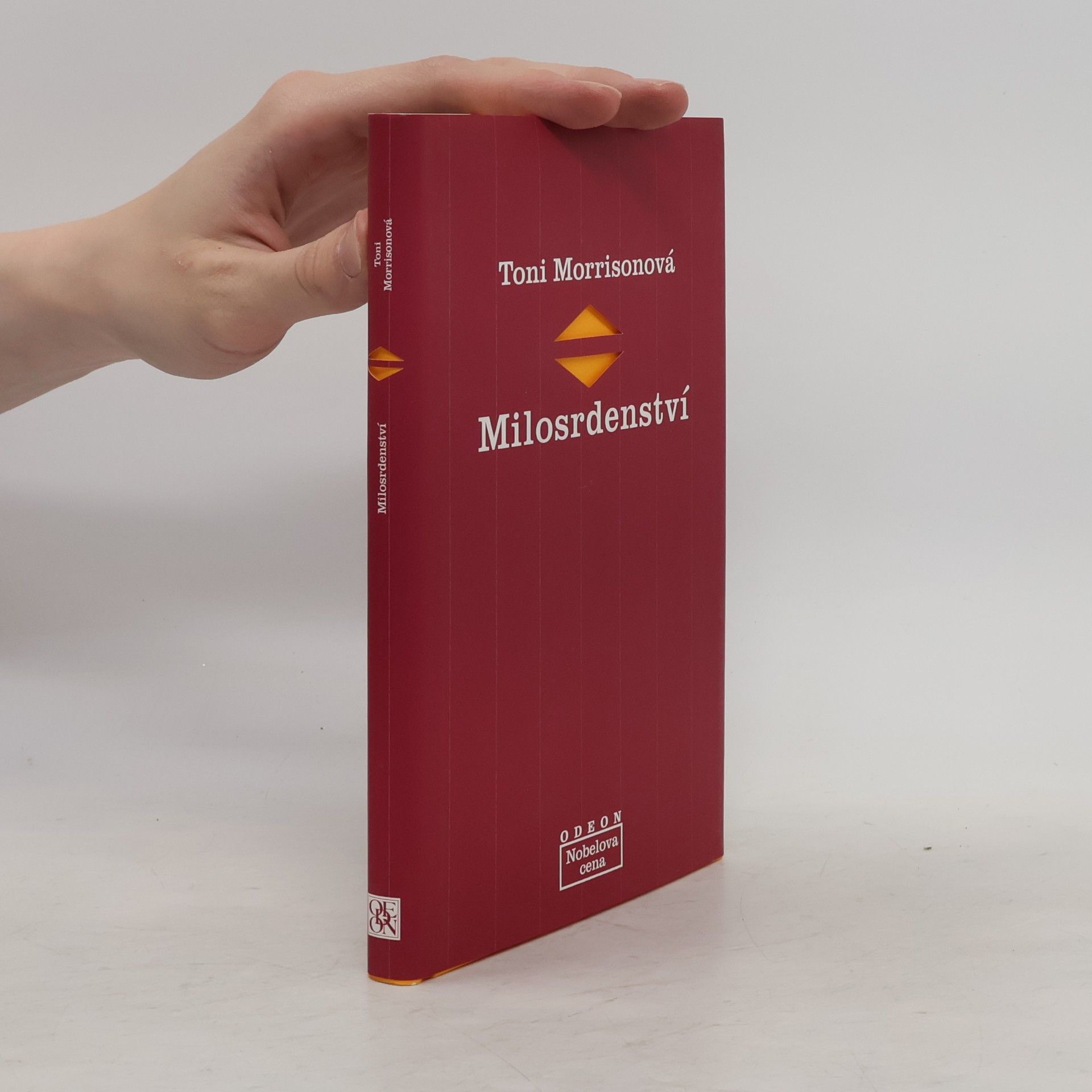 Toni Morrison Milosrdenství