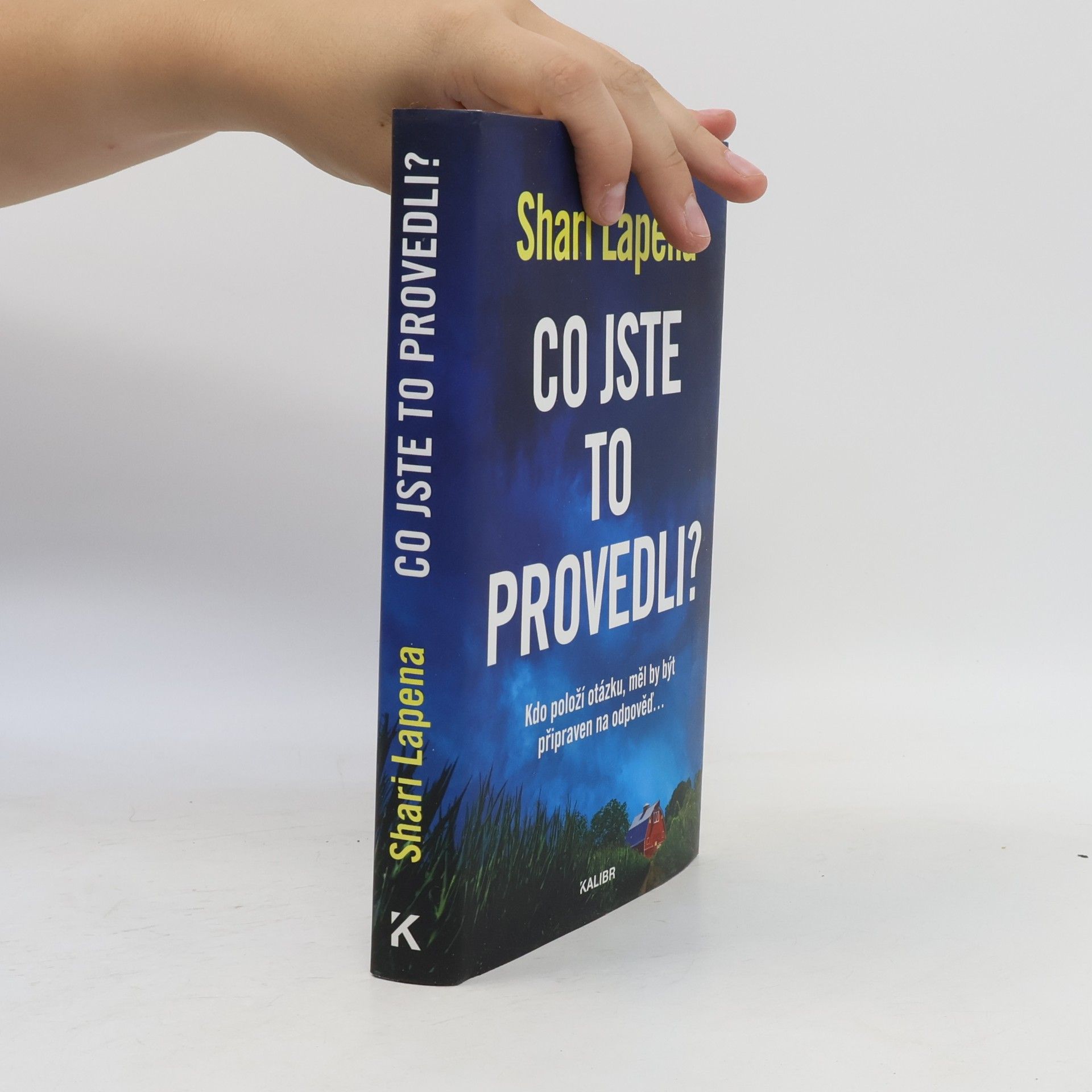 Shari Lapena Co jste to provedli?