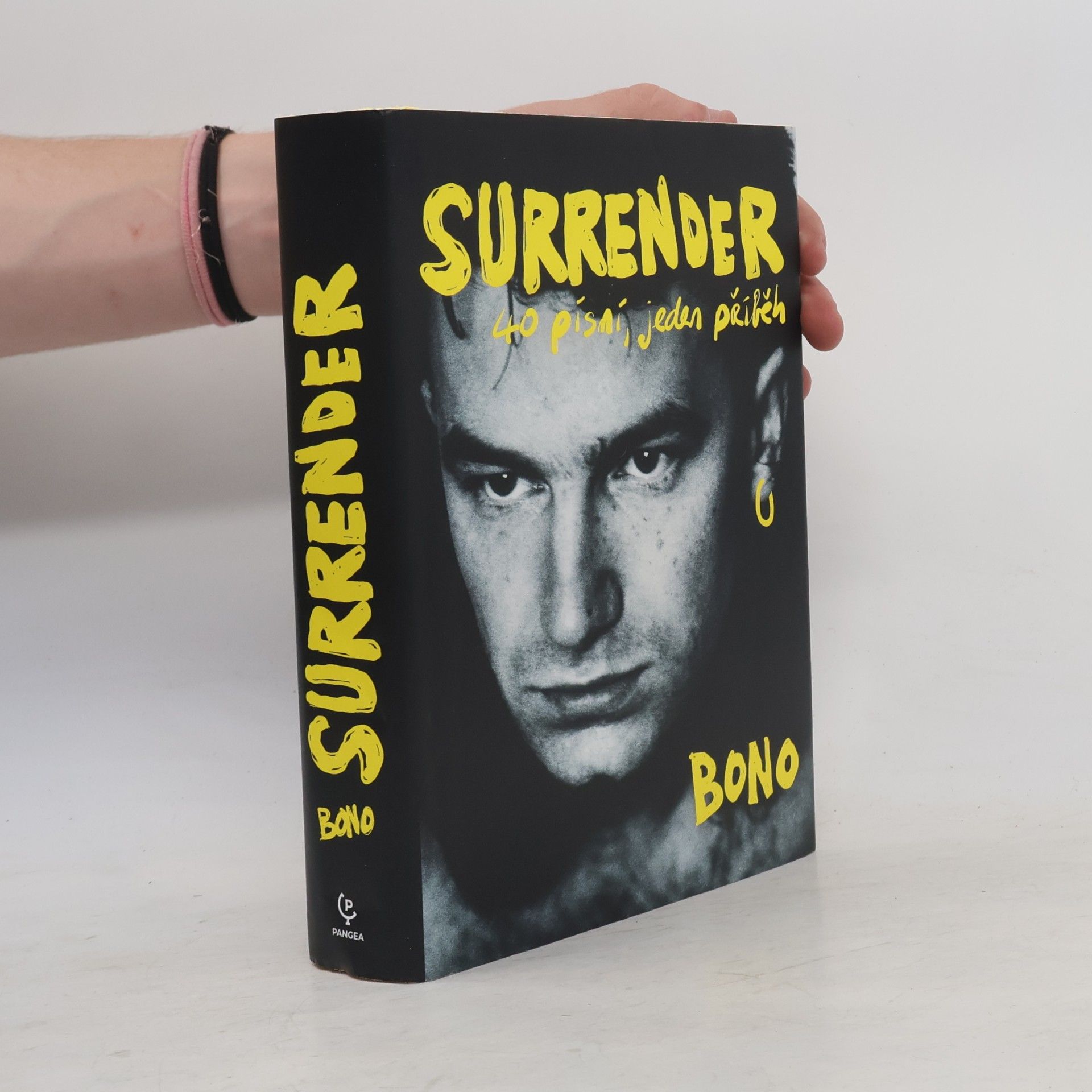 Surrender : 40 písní, jeden příběh