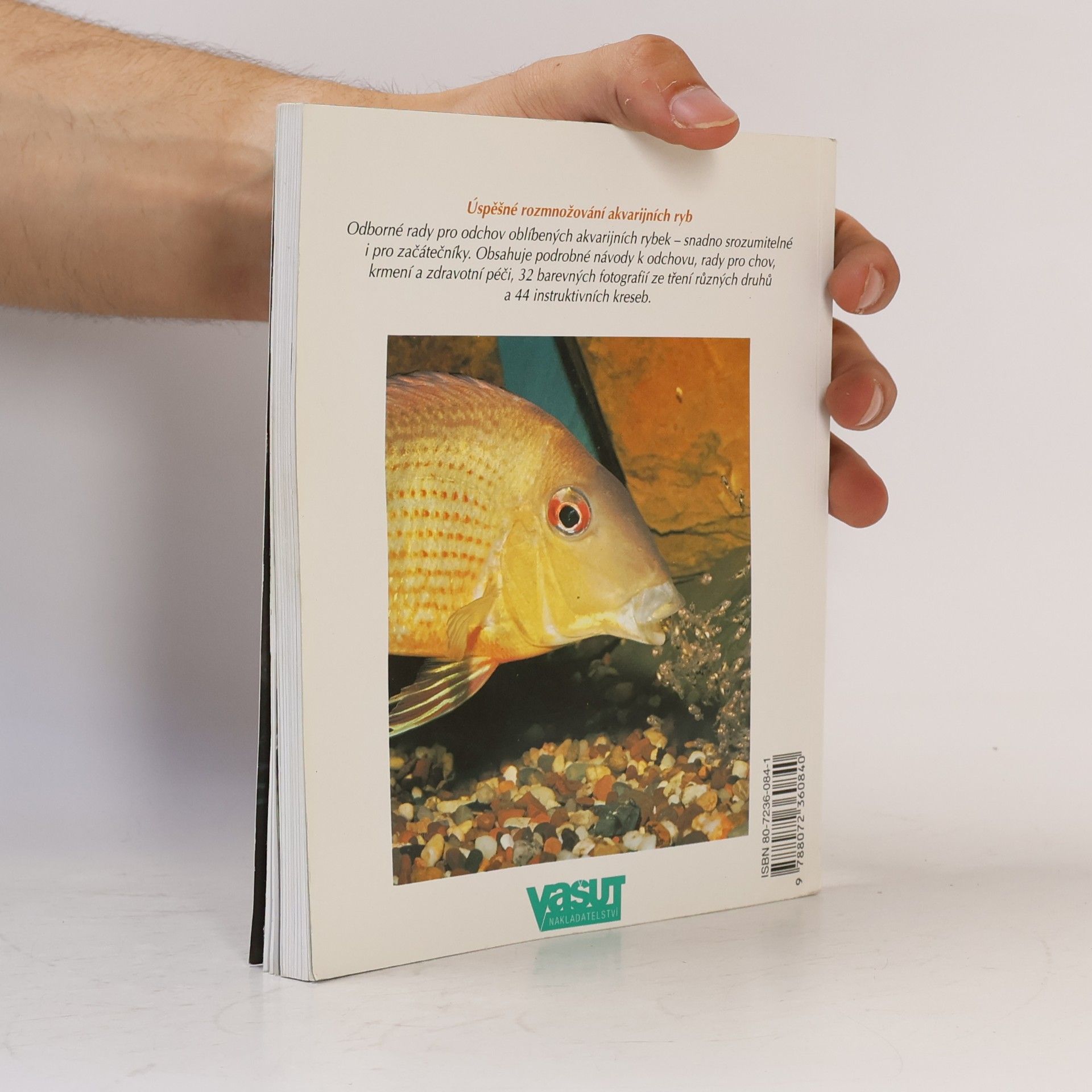 Ines Scheurmann Akvarijní rybky: Návody k odchovu cichlid, teter, sumců a dalších oblíbených rybek: Rady pro zařízení vytíraček