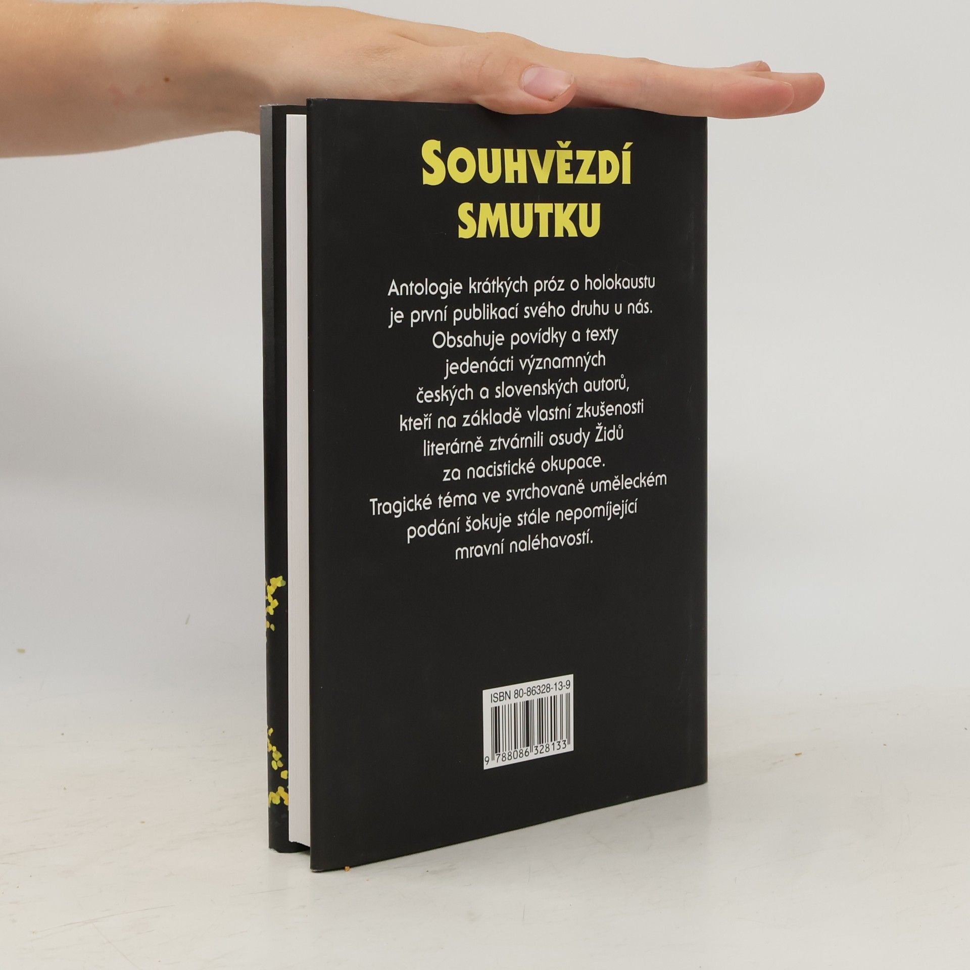 Auteurscollectief Souhvězdí smutku