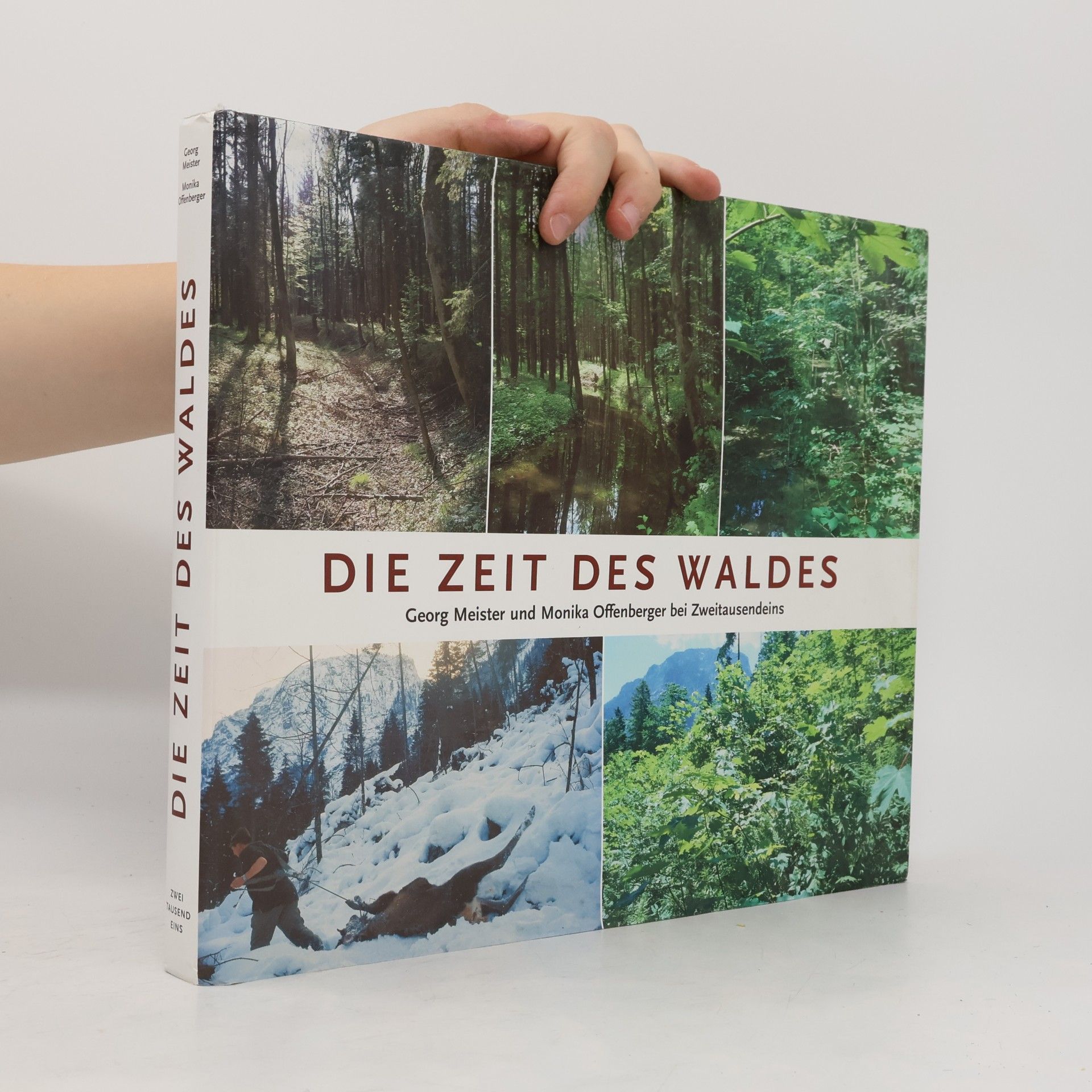 Georg Meister Die Zeit des Waldes