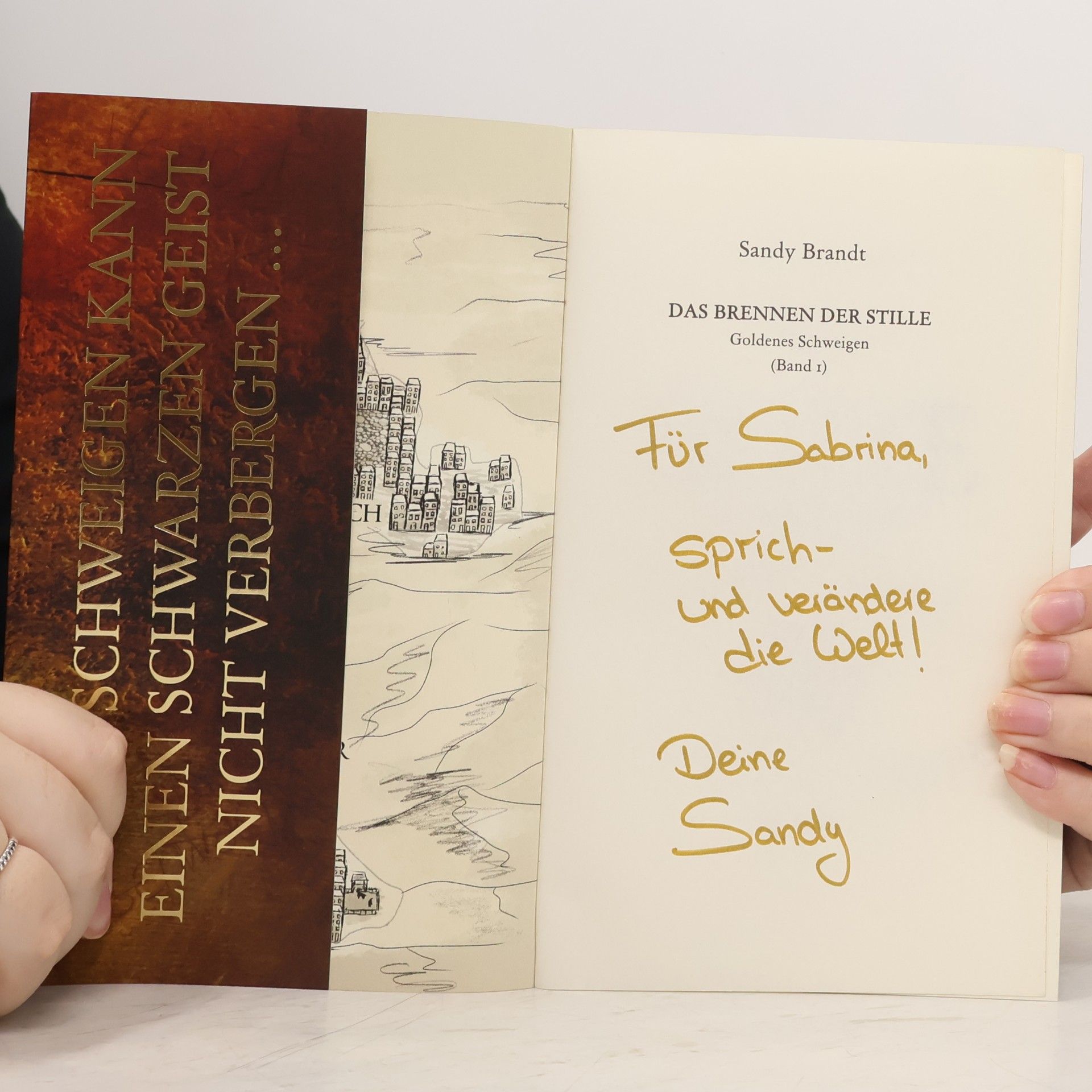 Sandy Brandt DAS BRENNEN DER STILLE - Goldenes Schweigen (Band 1)