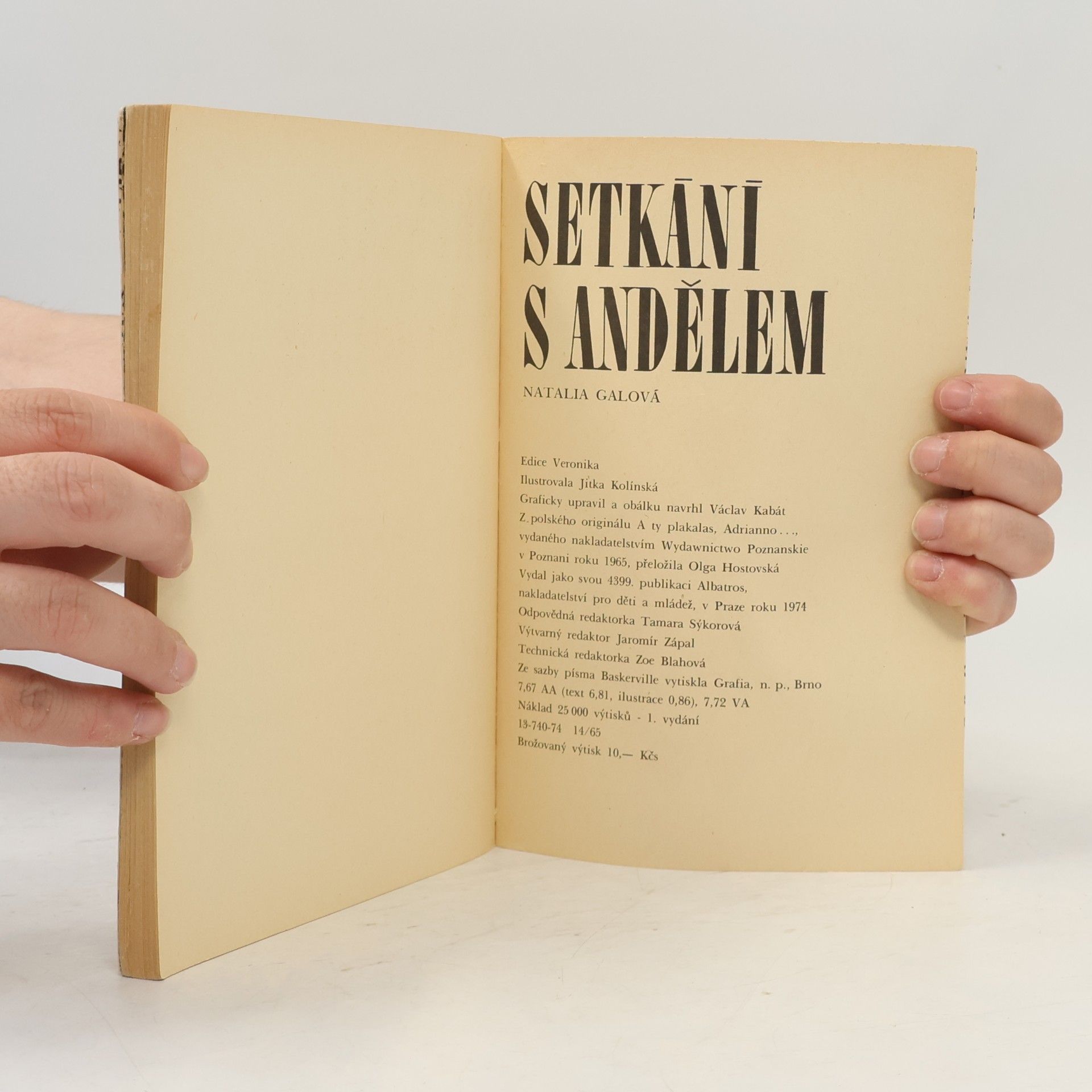 Gallová Natalia Setkání s andělem