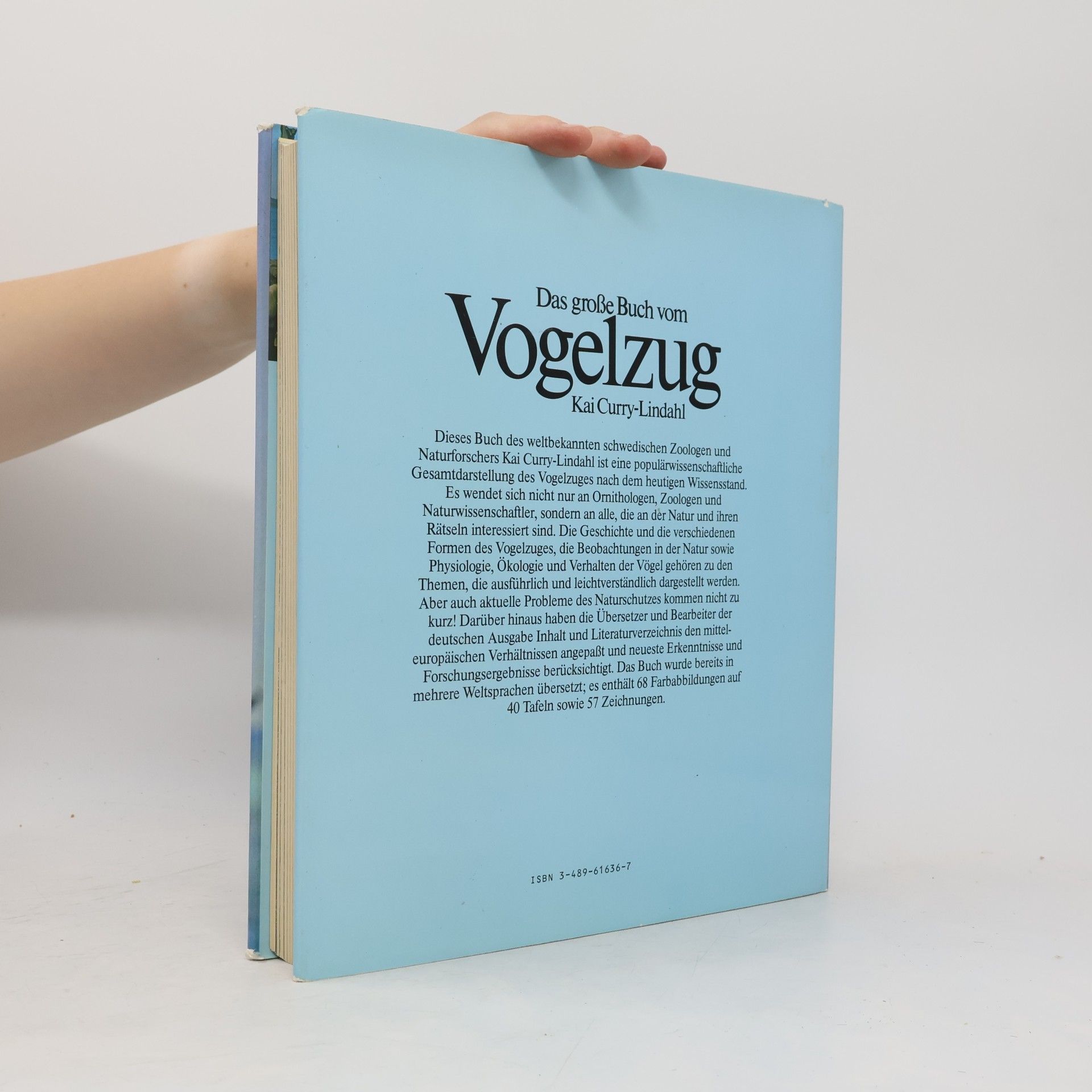 Kai Curry Lindahl Das grosse Buch vom Vogelzug