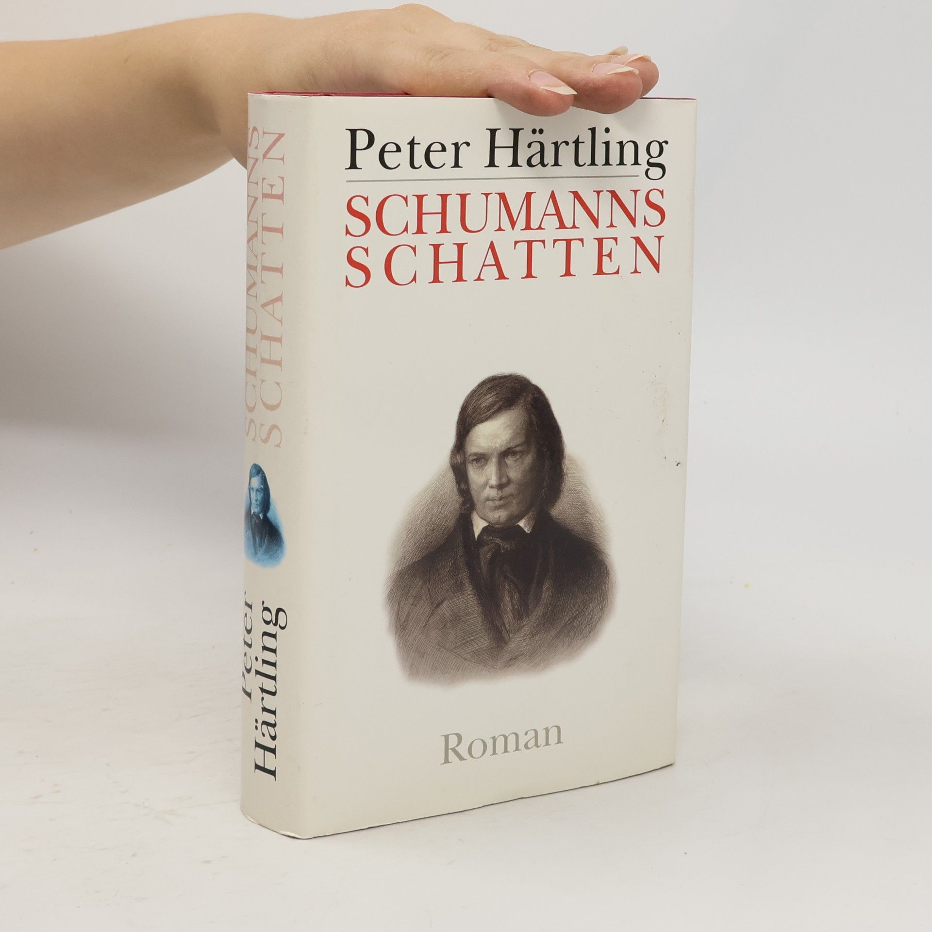 Peter Härtling Schumanns Schatten