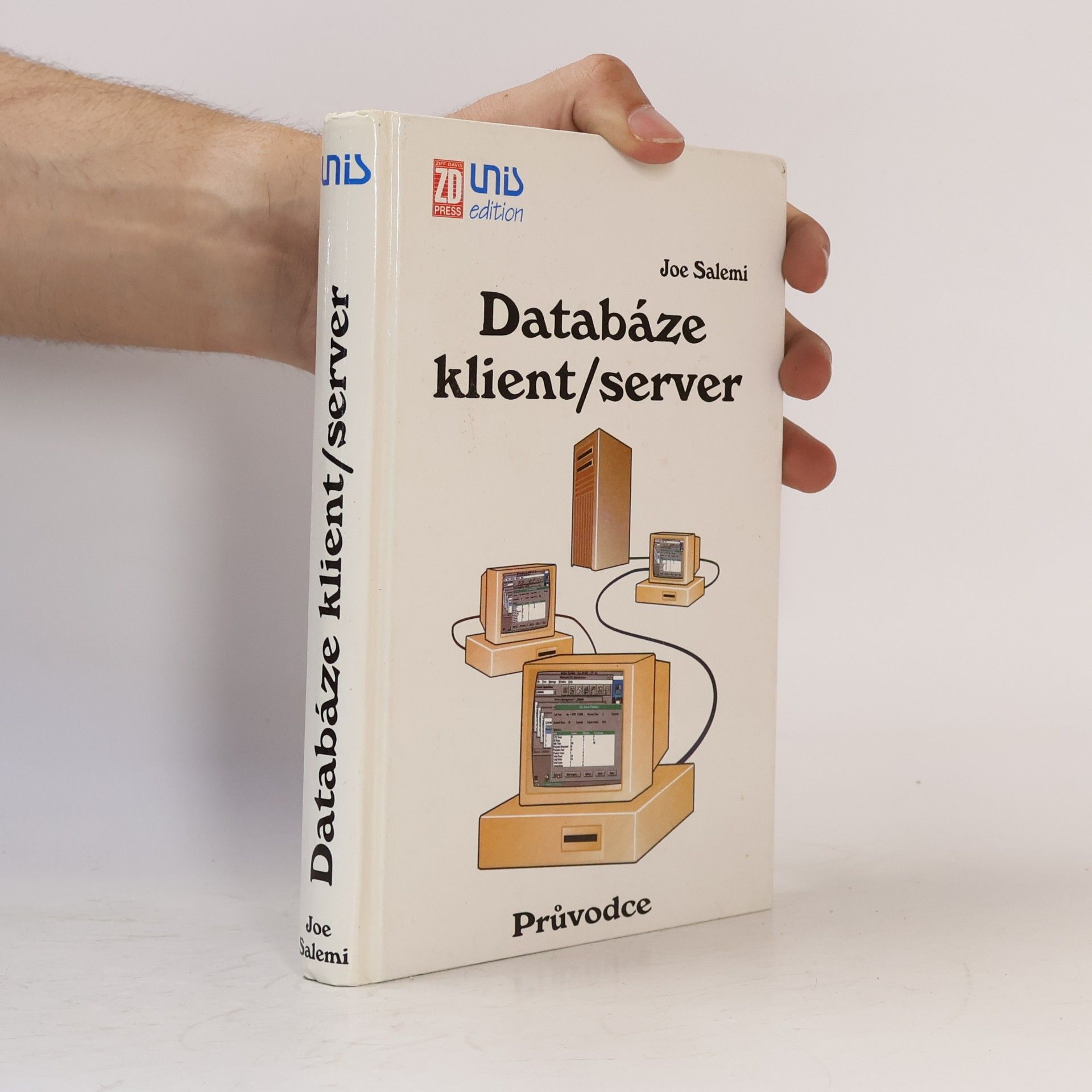 Joe Salemi Databáze klient/ server: Průvodce