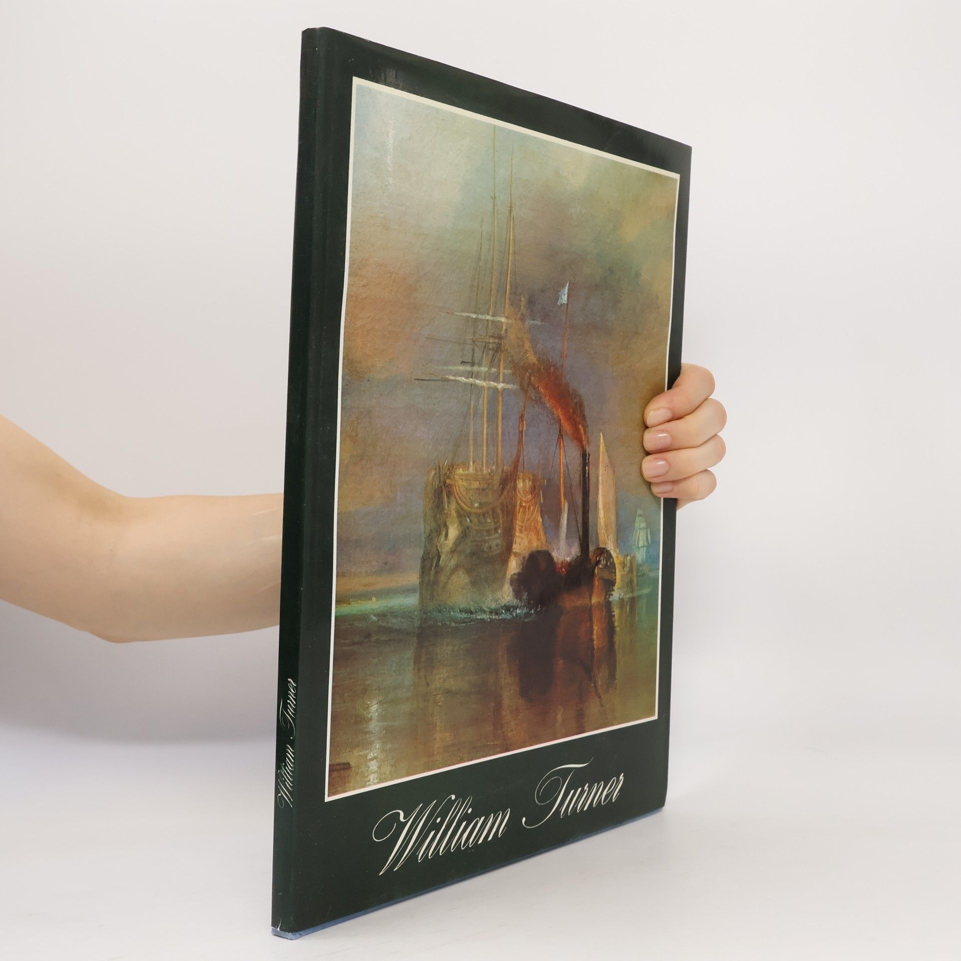 Kolektiv autorů William Turner