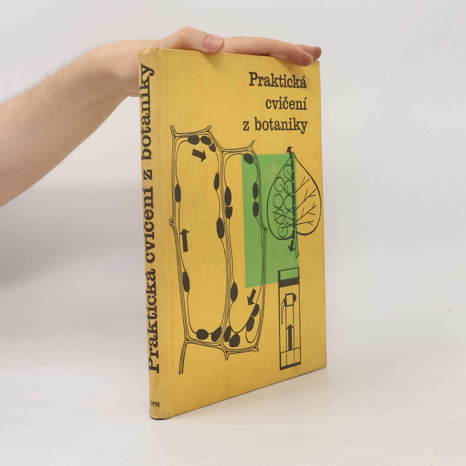 Autorenkollektiv Praktická cvičení z botaniky pro pedagogické fakulty