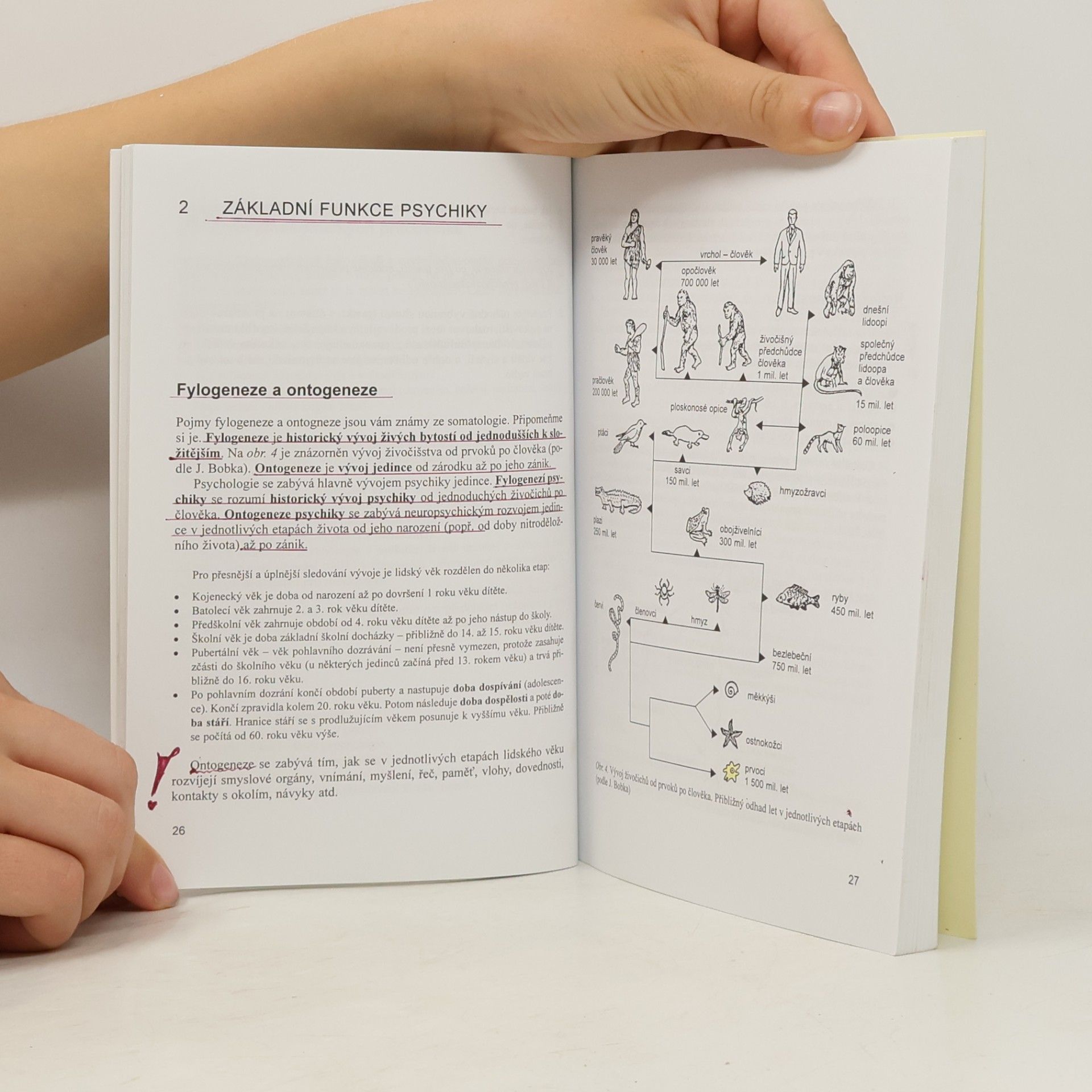 Marie Rozsypalová Psychologie a pedagogika I : pro středni zdravotnické školy