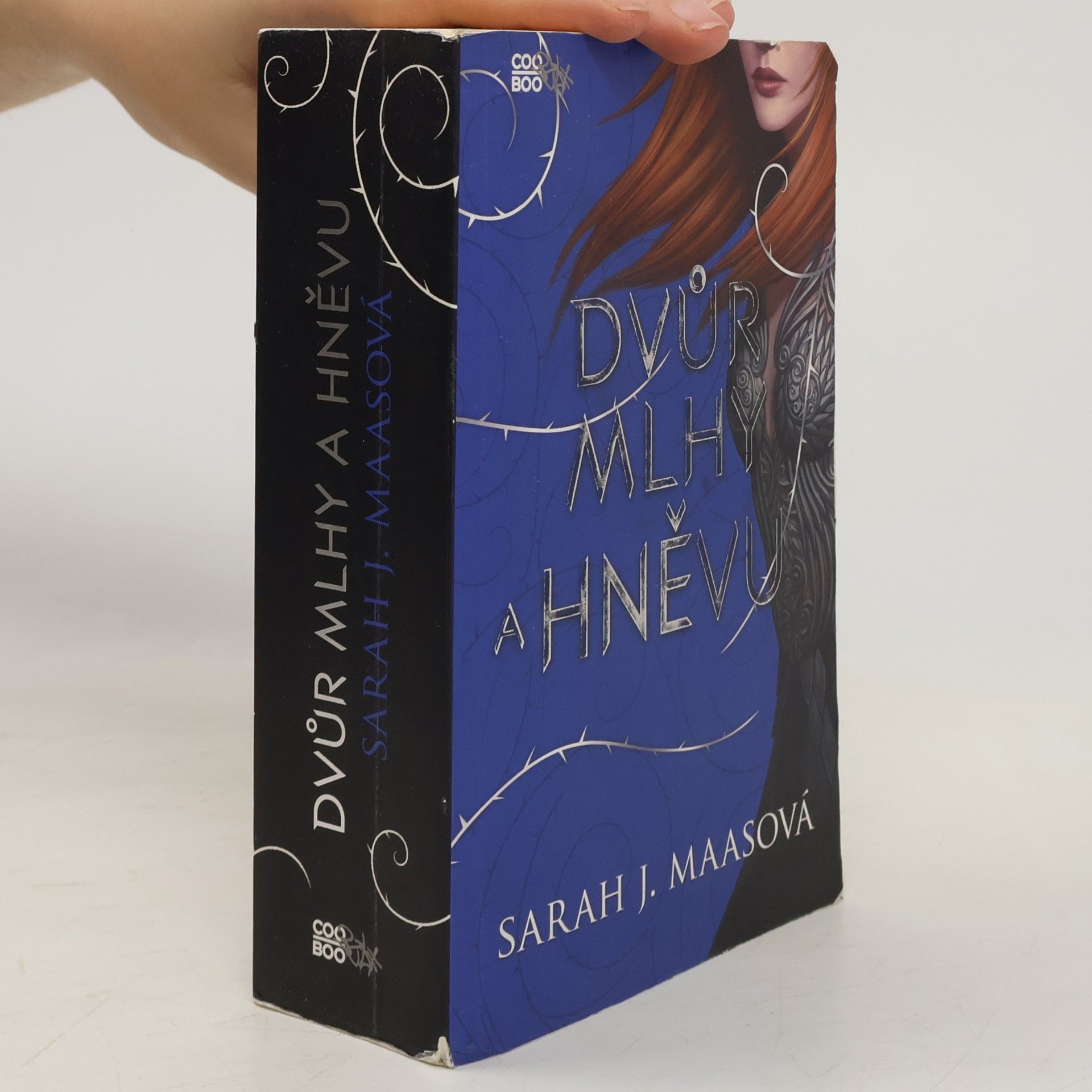 Sarah J. Maas Dvůr mlhy a hněvu