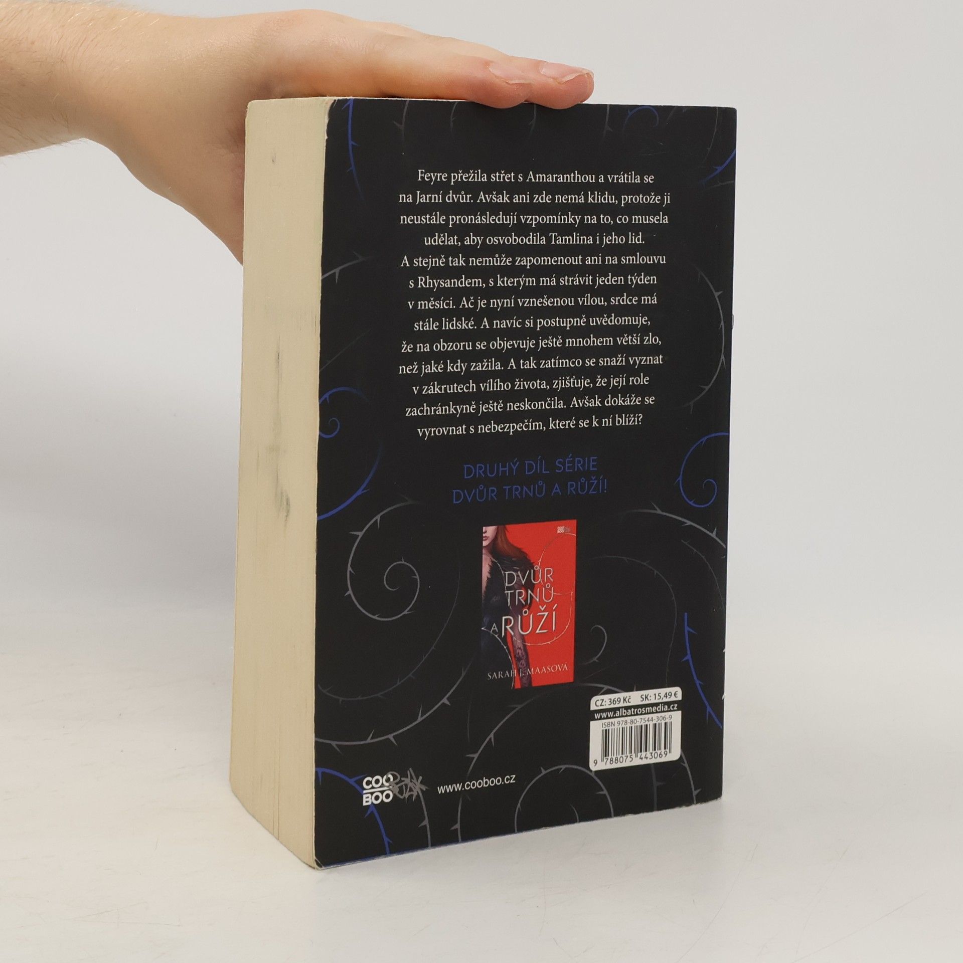 Sarah J. Maas Dvůr mlhy a hněvu