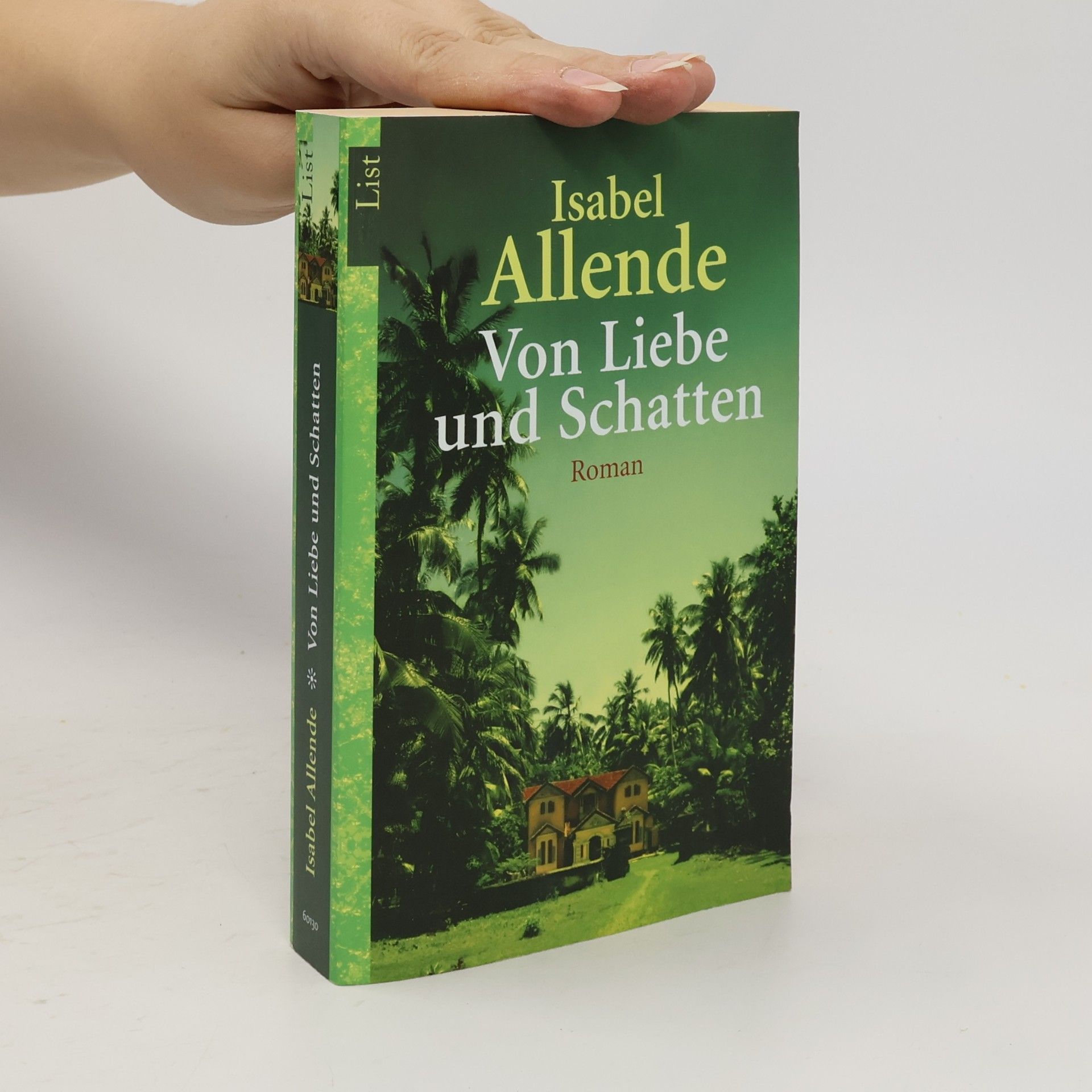 Isabel Allende Llona Von Liebe und Schatten