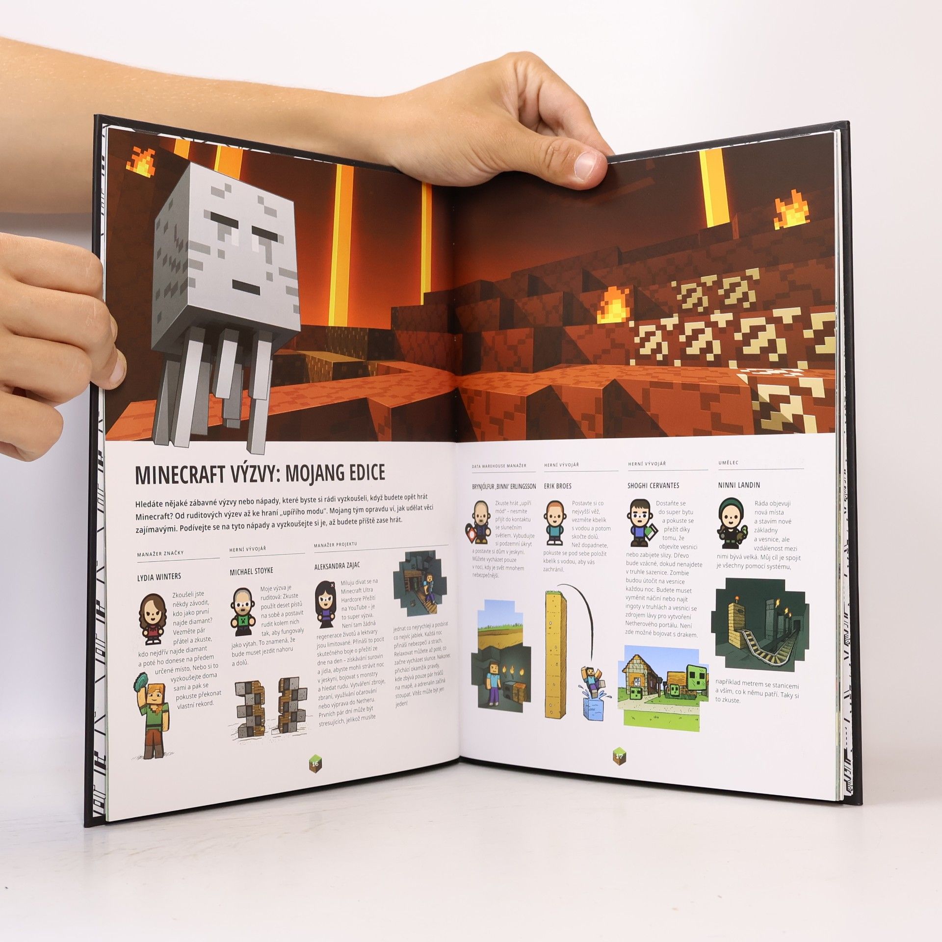 Stephanie Milton Minecraft : ročenka 2017